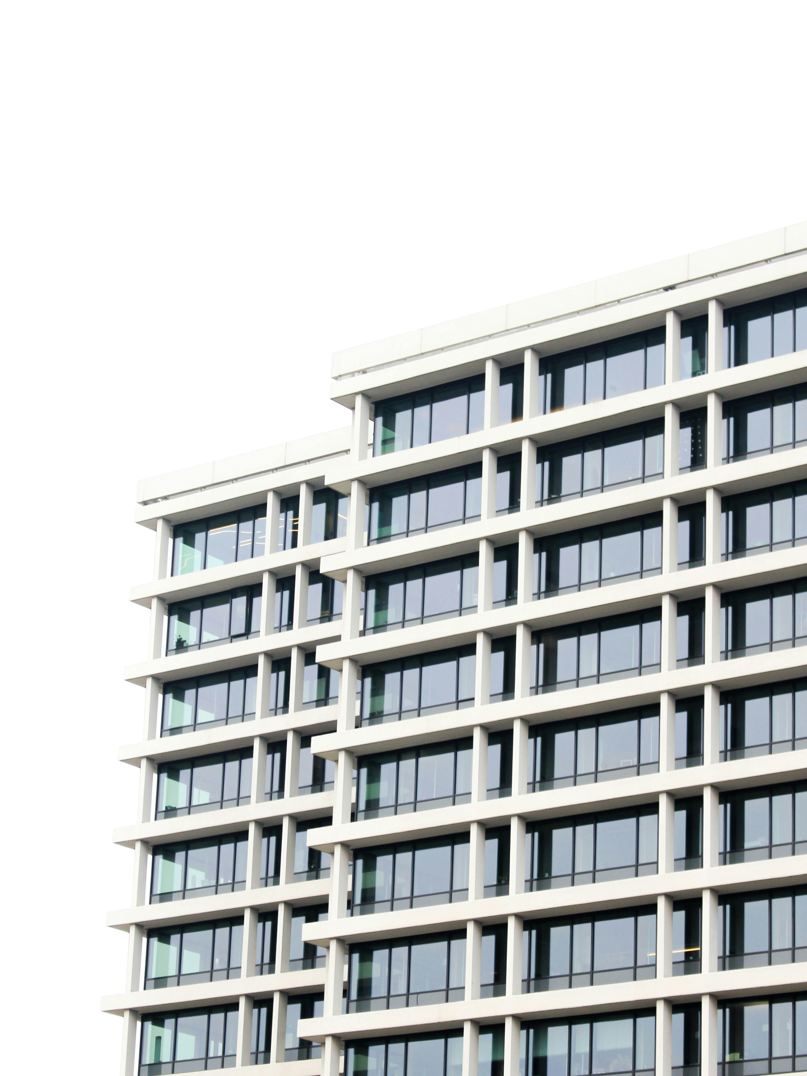 Photo by anna_c_wilhelm