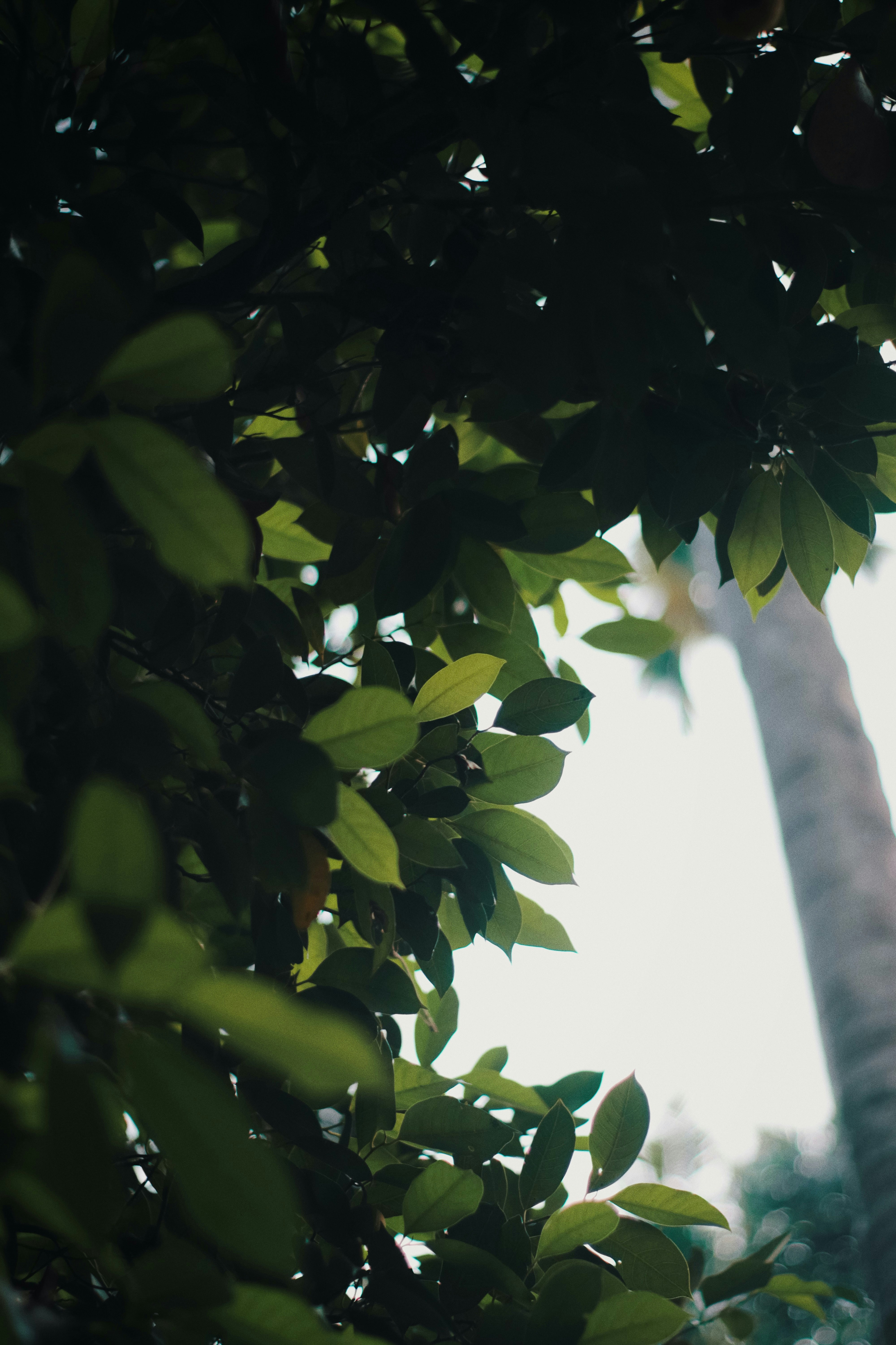 Photo by niranjan_photographs