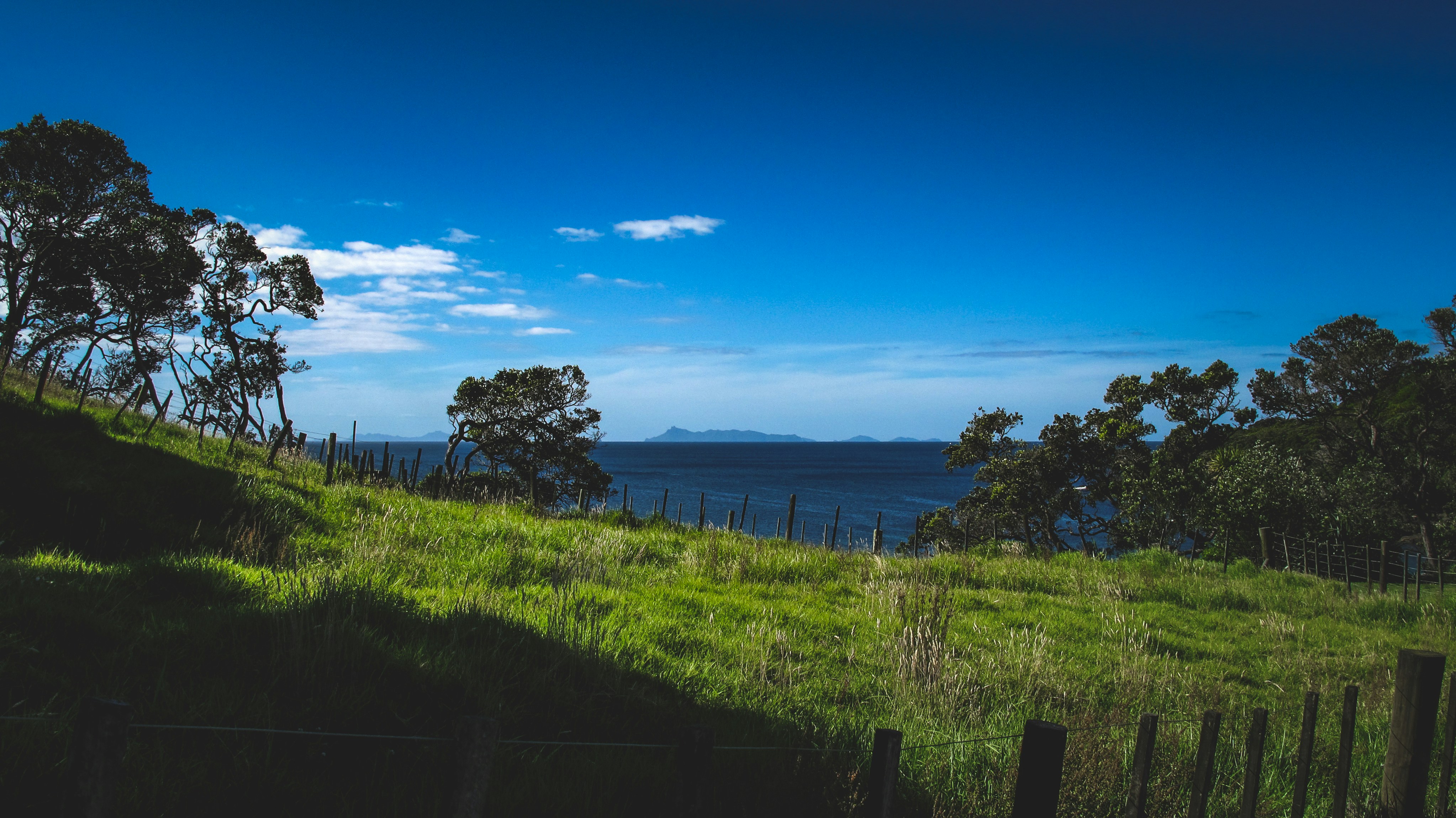 Photo by francesco_ungaro