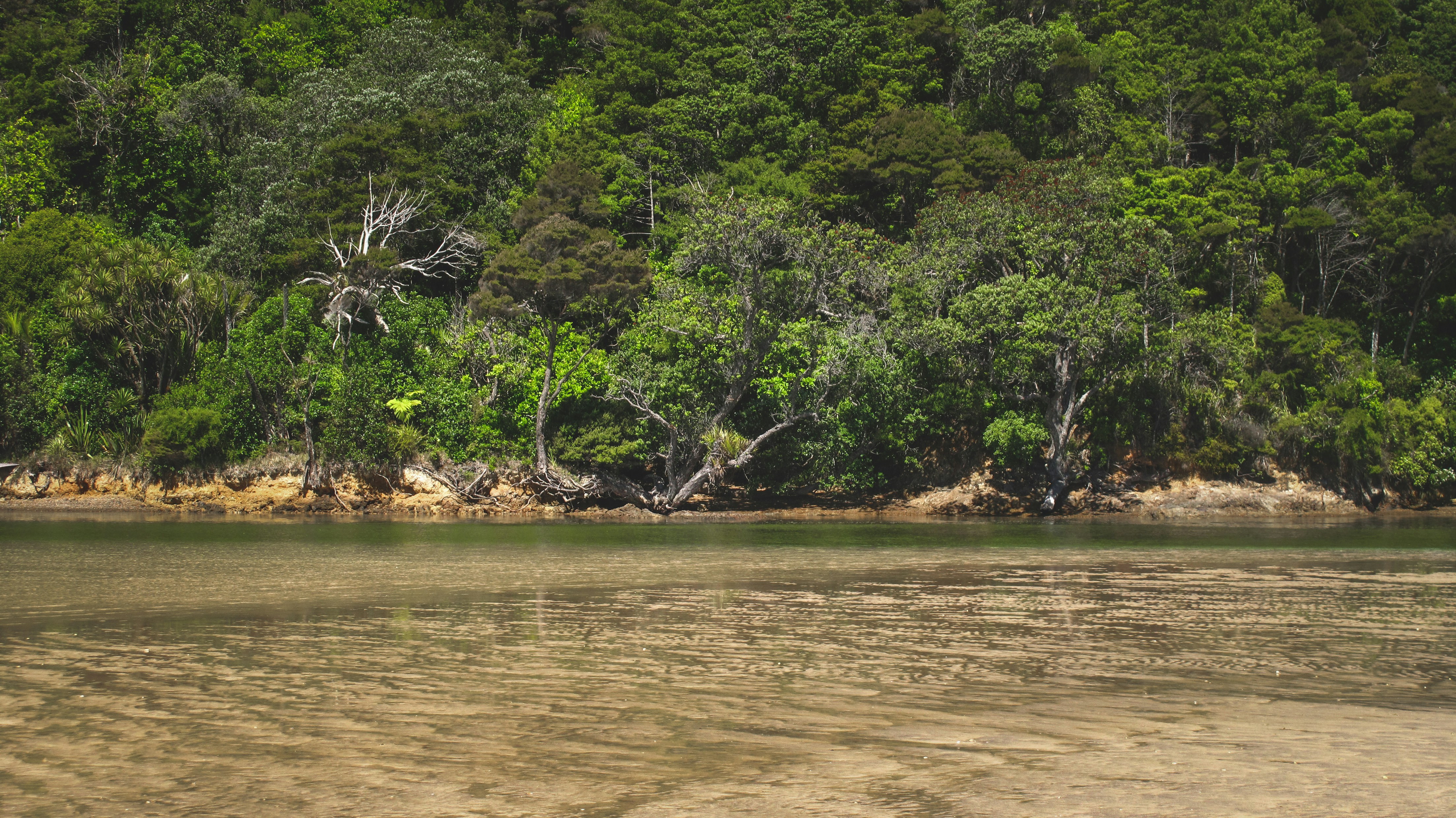 Photo by francesco_ungaro