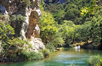 A peaceful river flowing through a forest, highlighting natural beauty and environmental care.
