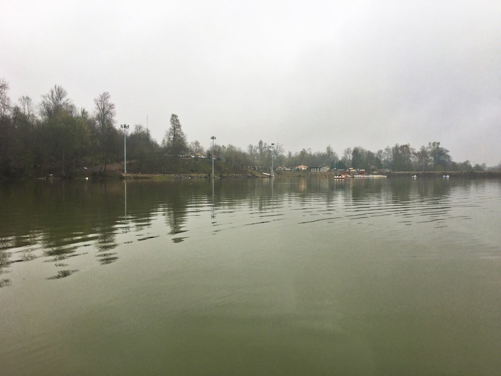 a body of water with trees in the background