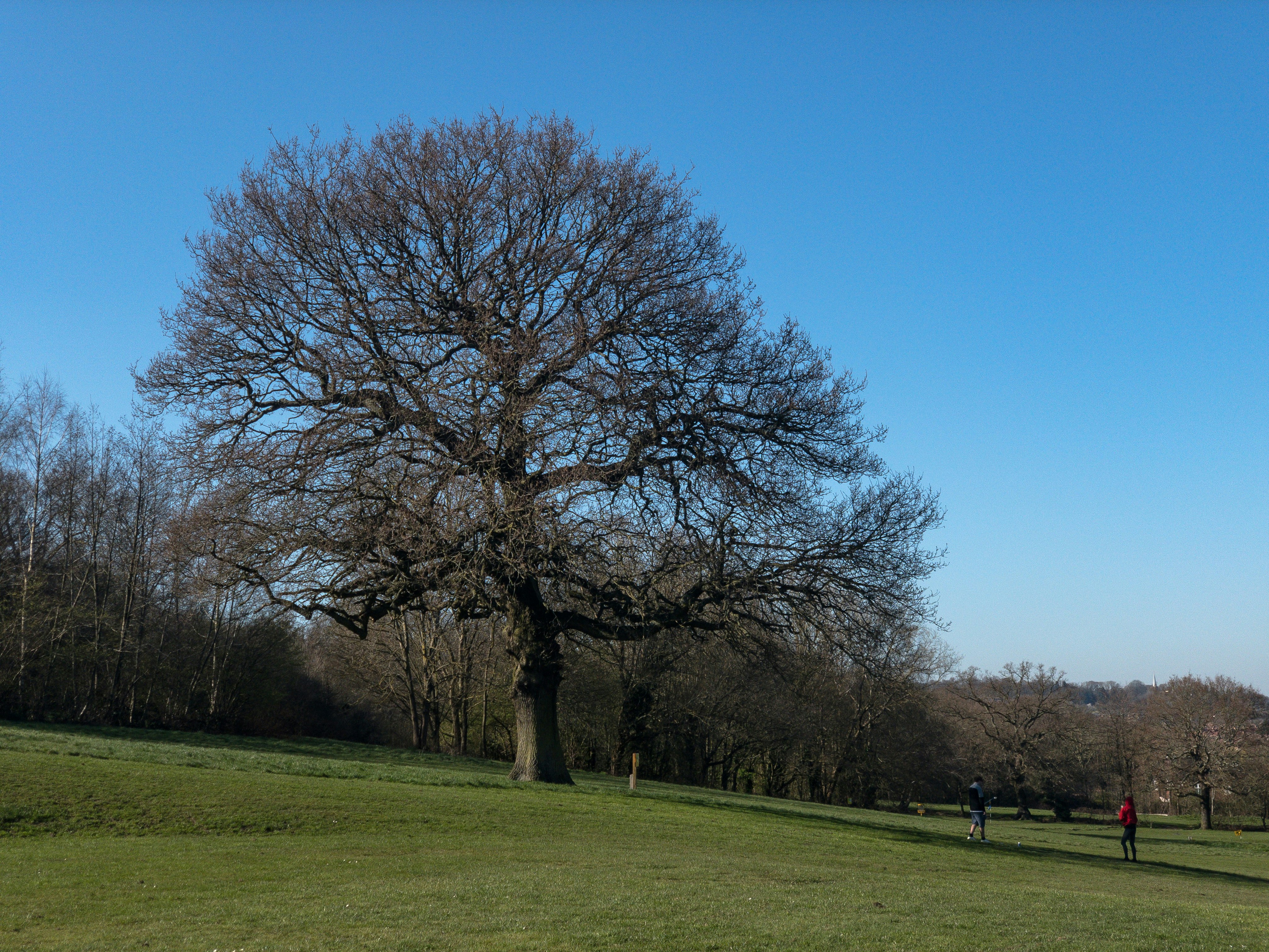 Photo by brett_jordan