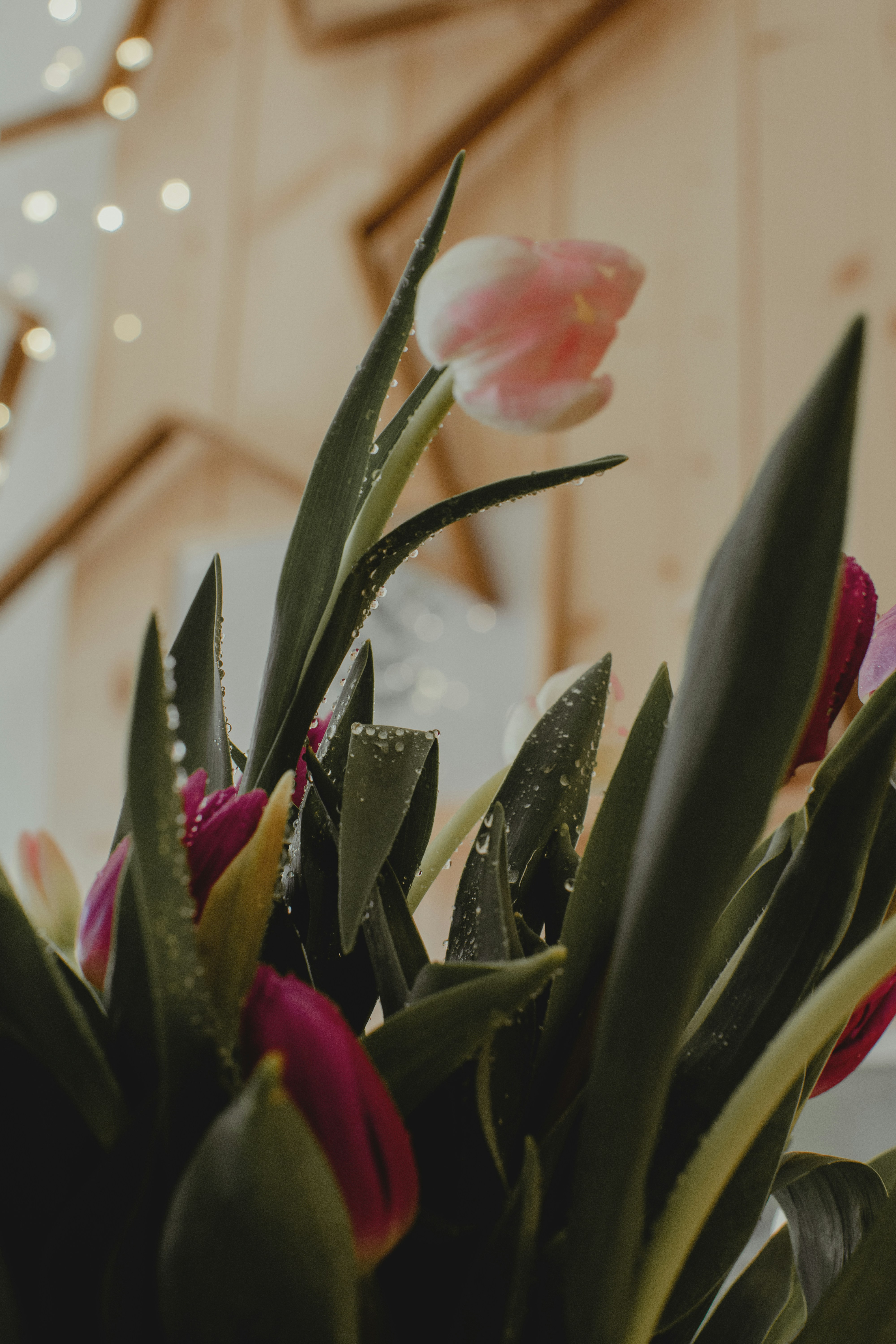 Photo by mariella_matera