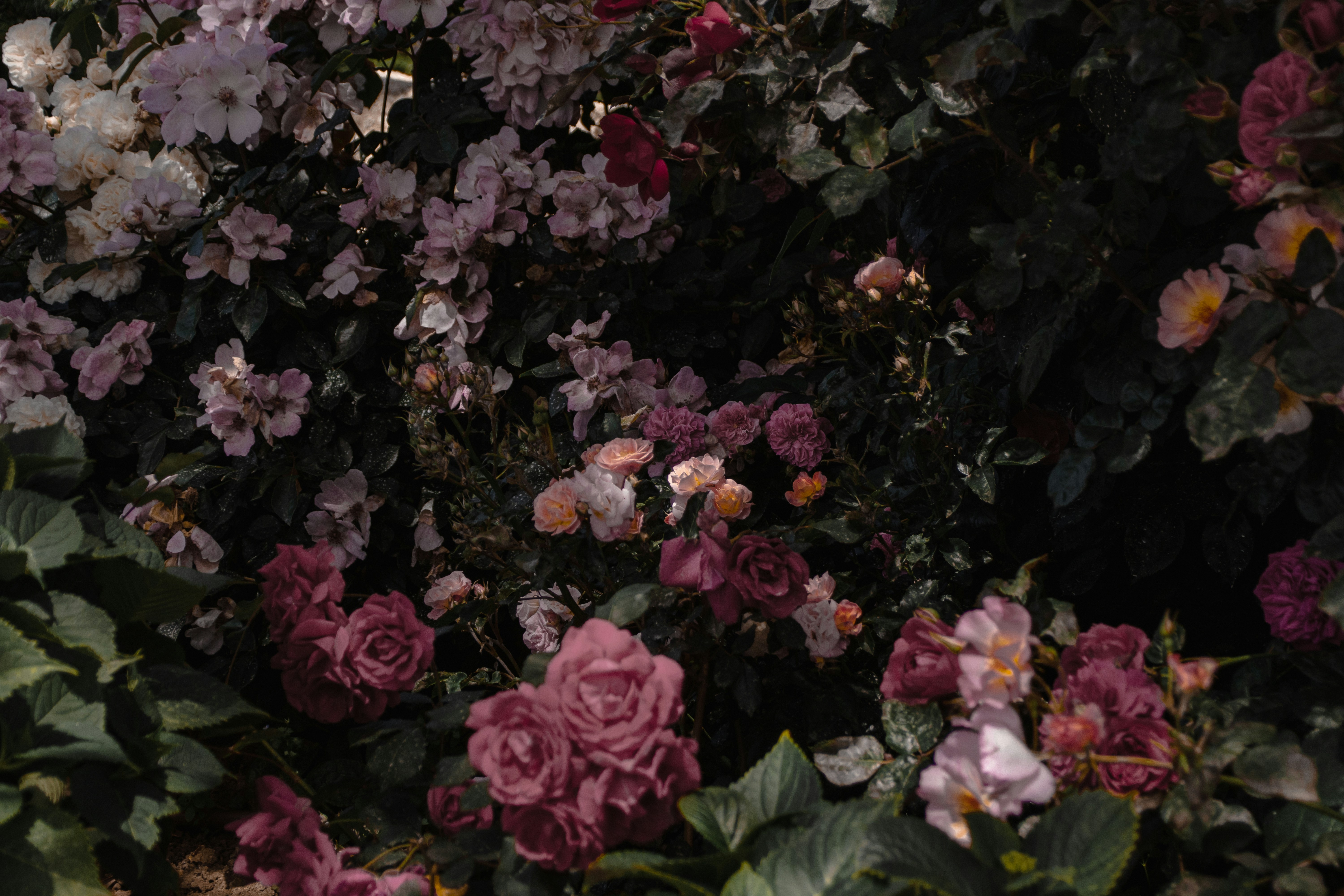 Photo by mariella_matera