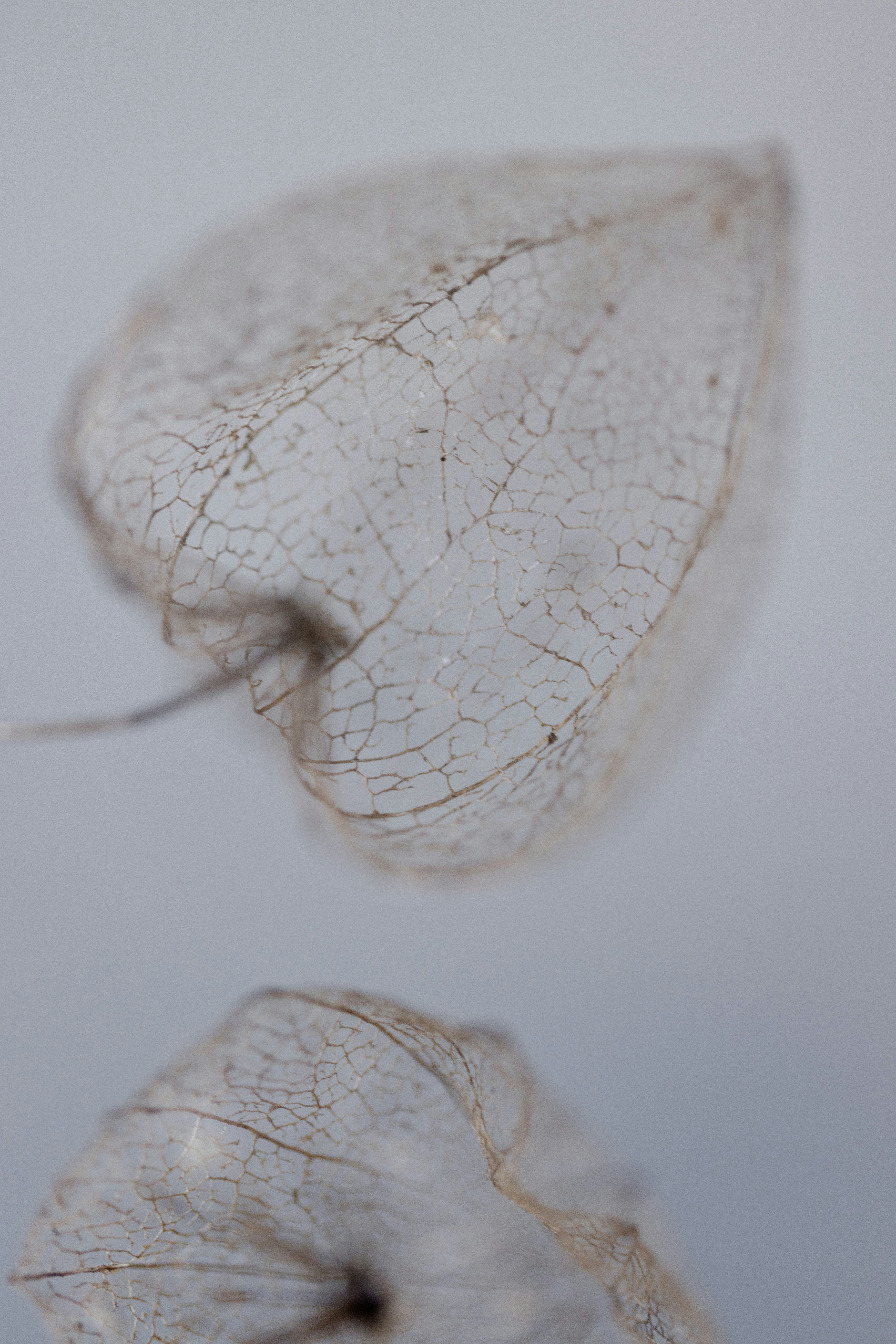 Photo by filipp_roman_photography