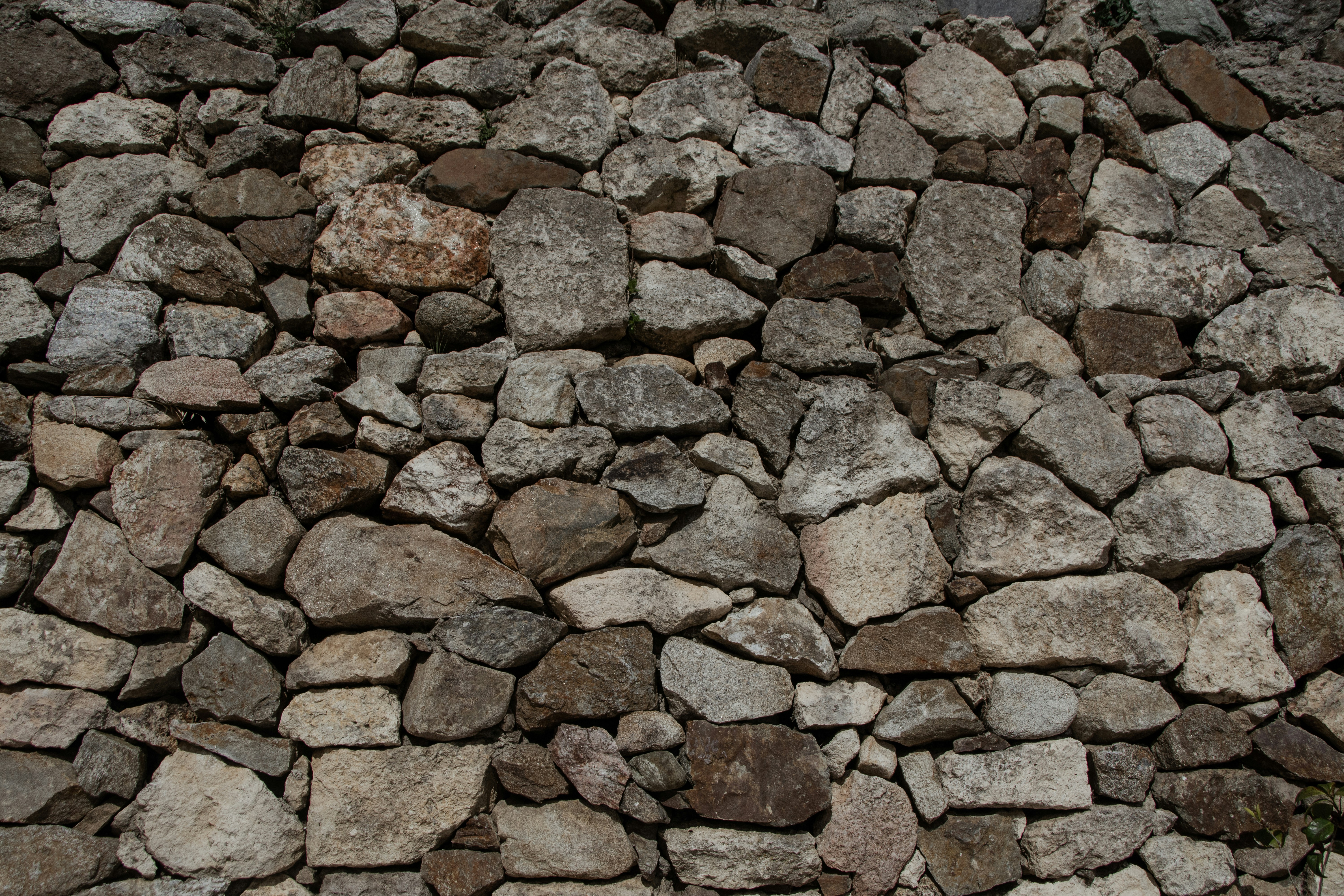 Photo by mariella_matera