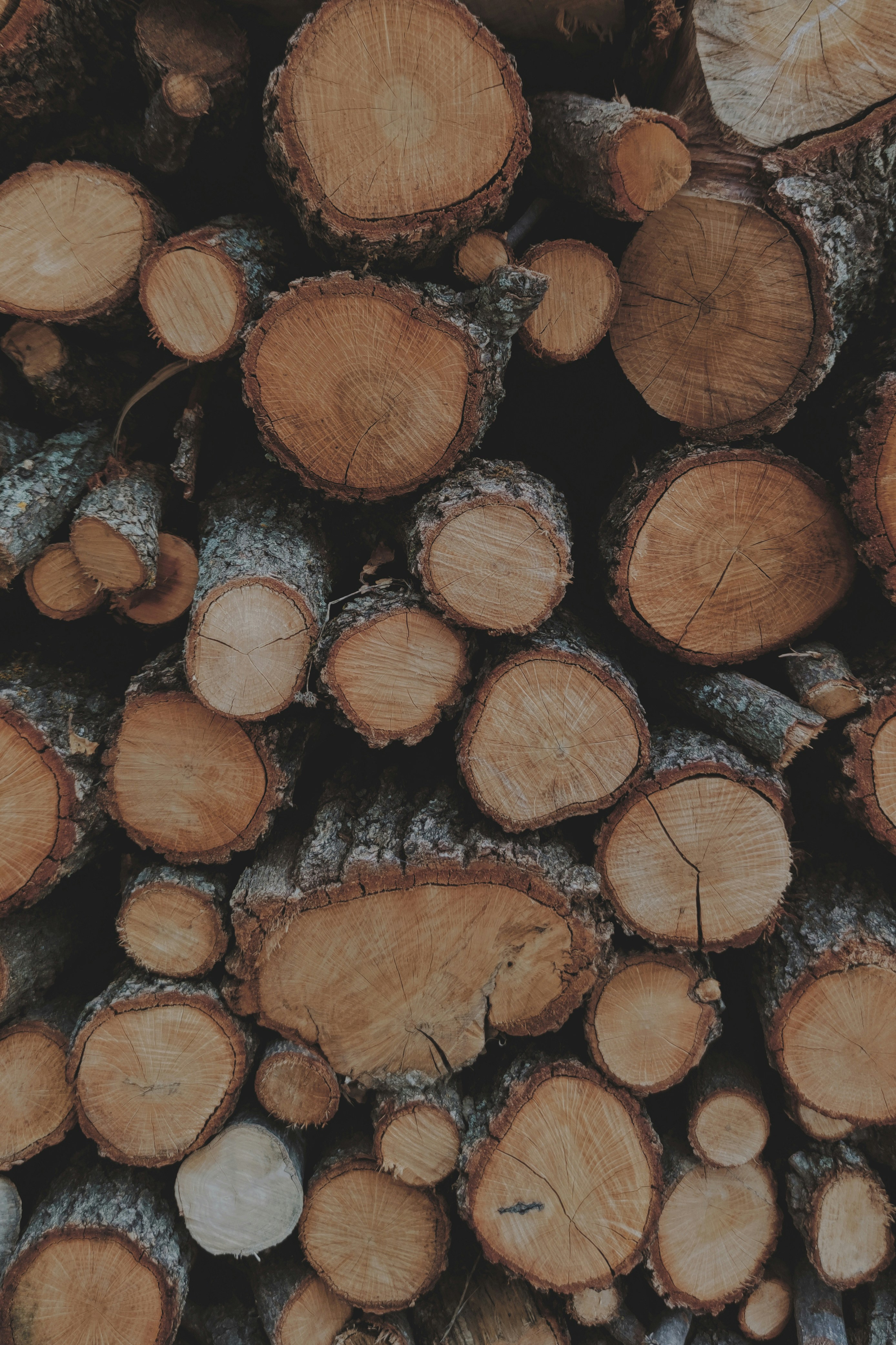 Photo by mariella_matera