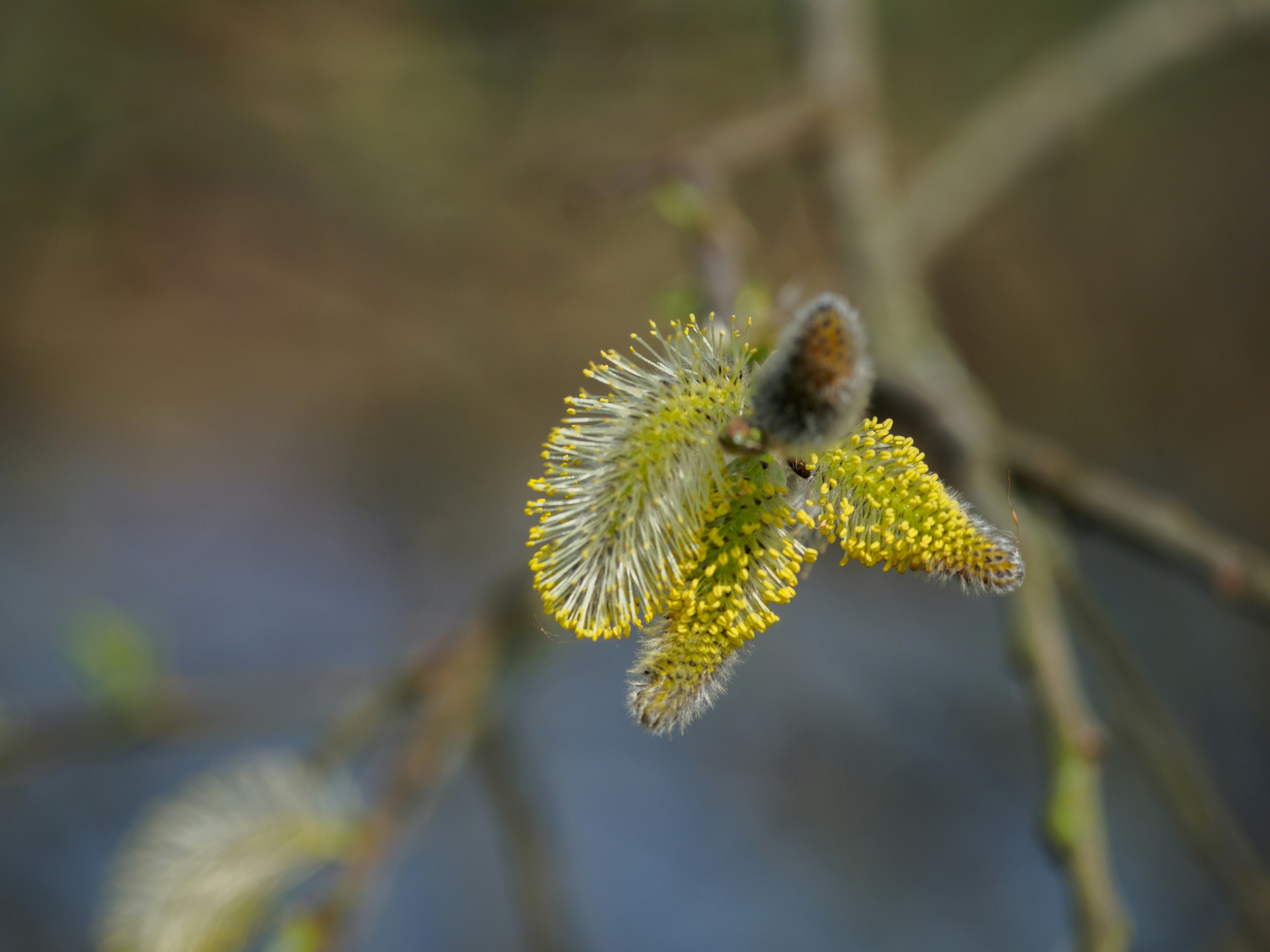 Photo by brett_jordan