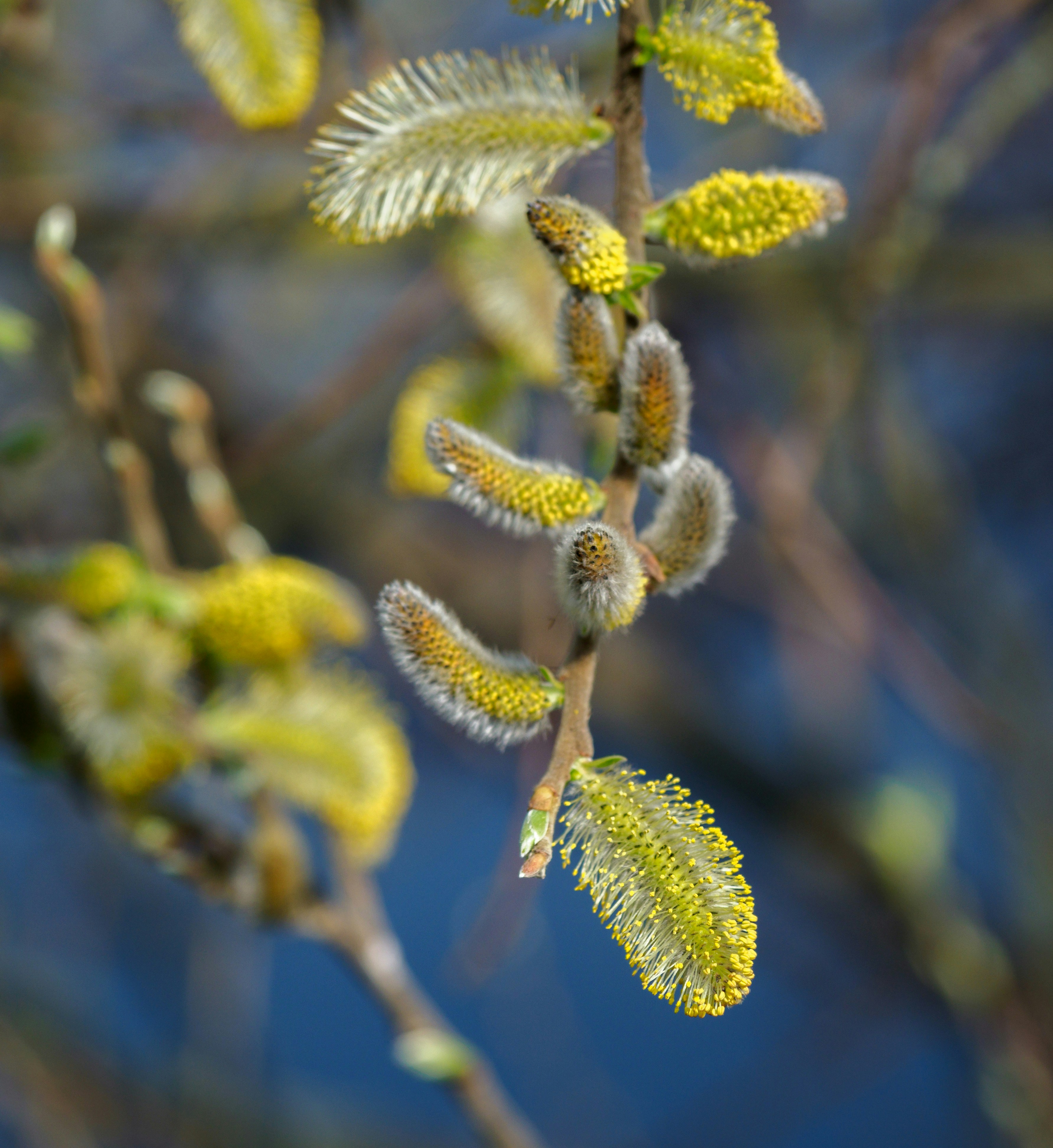 Photo by brett_jordan