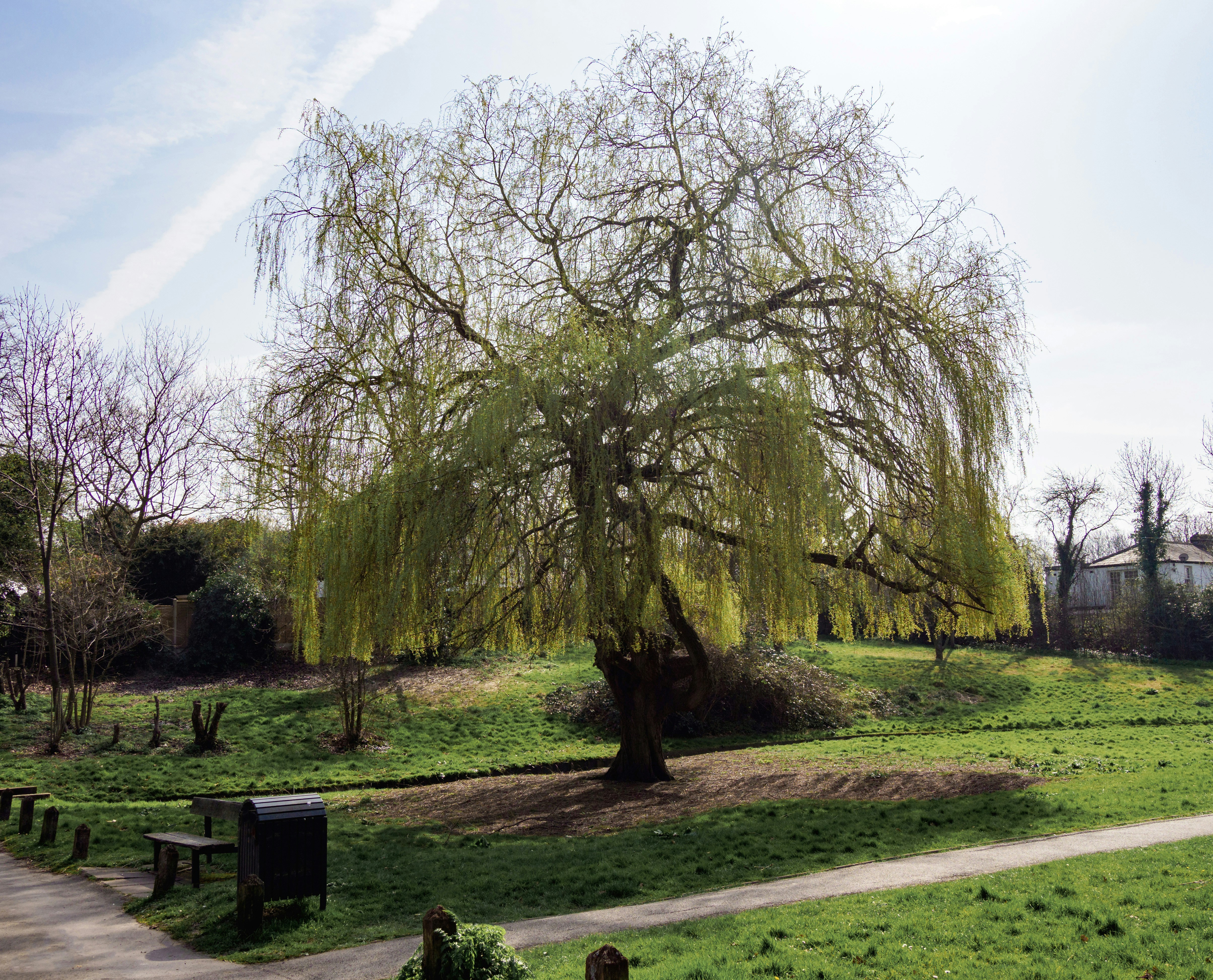 Photo by brett_jordan