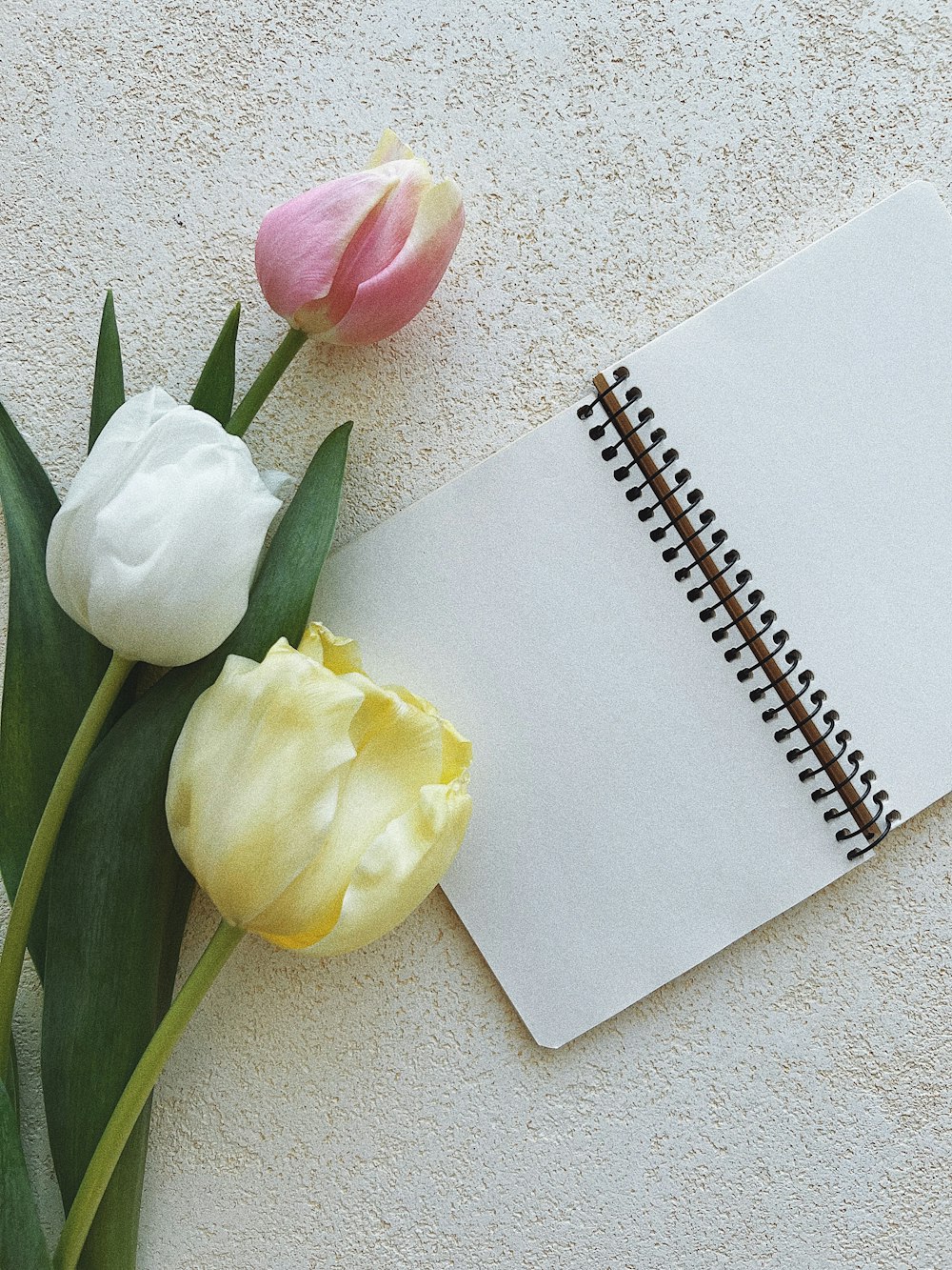 a notepad with a notepad and two tulips
