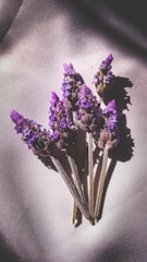 Elegant sprigs of lavender resting on cool blue-gray marble.