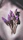 Close-up of lavender hues complementing clinical aesthetic tools on a clean white background.