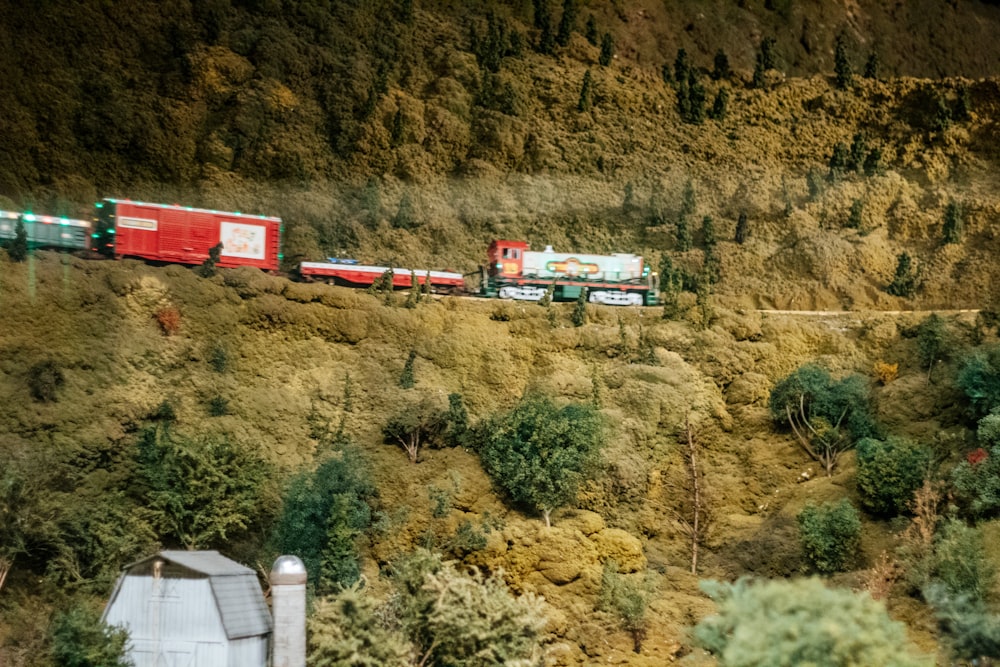 a train traveling through a lush green forest