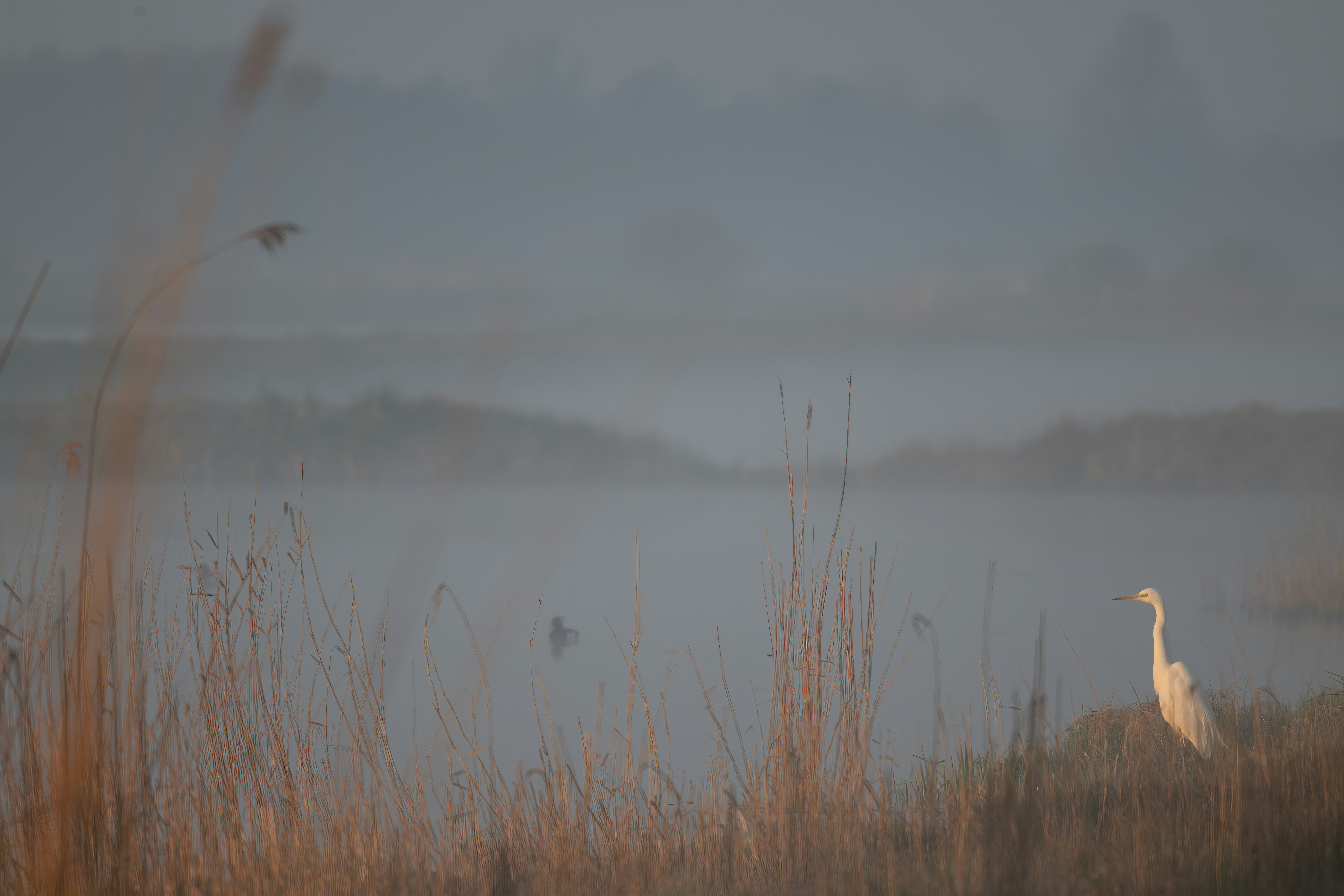 Photo by vincentvanzalinge