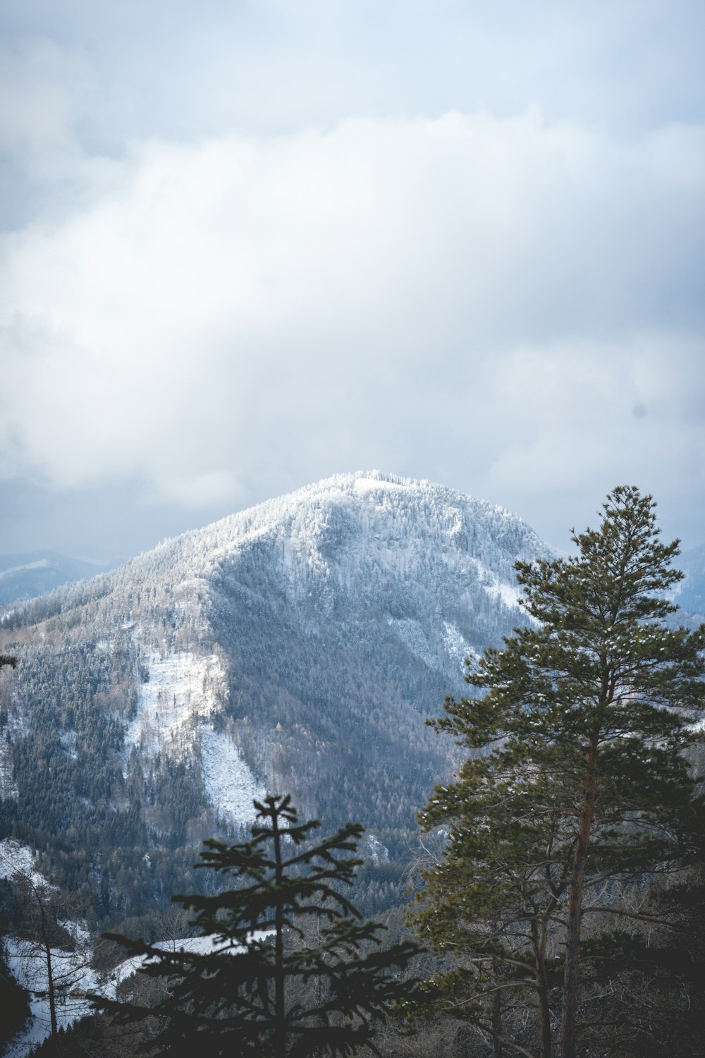 a view of a snow covered mountain from the top of a hill