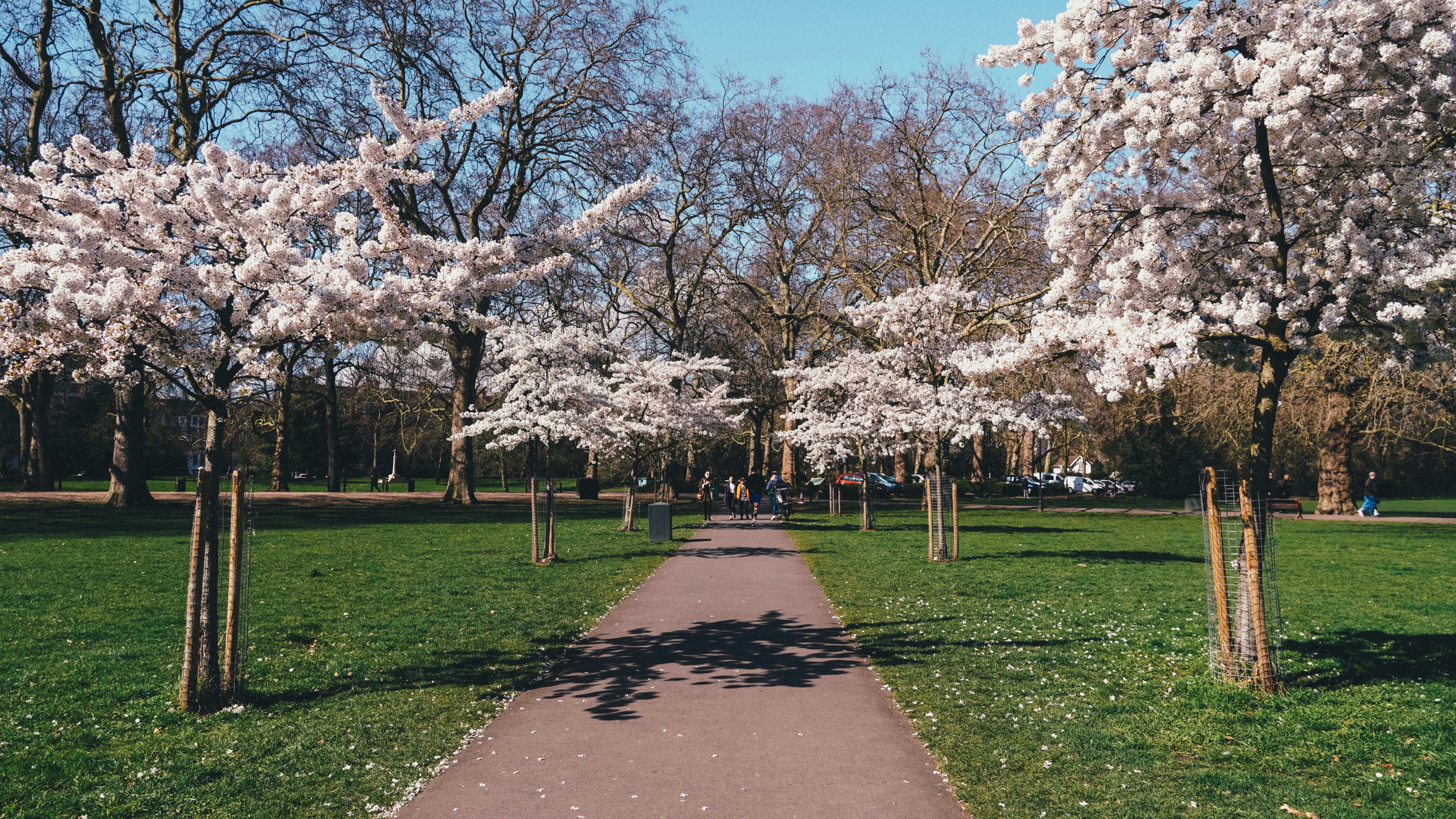 Photo by jiaminhuang812