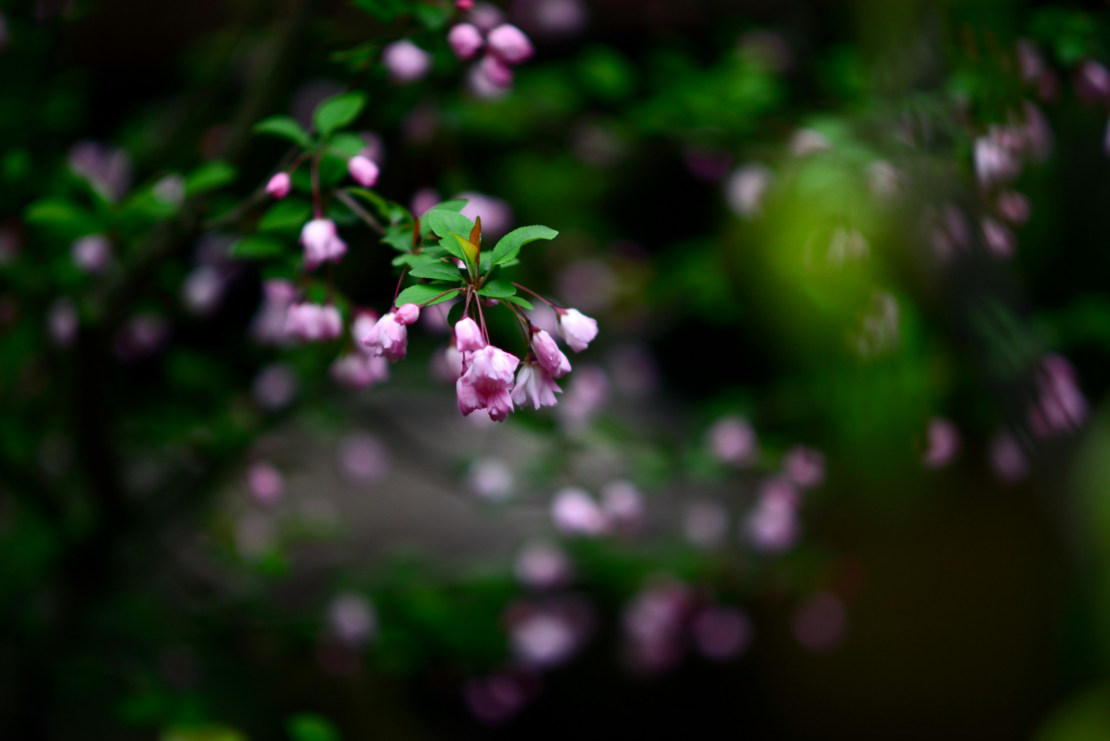 Photo by metacrypto