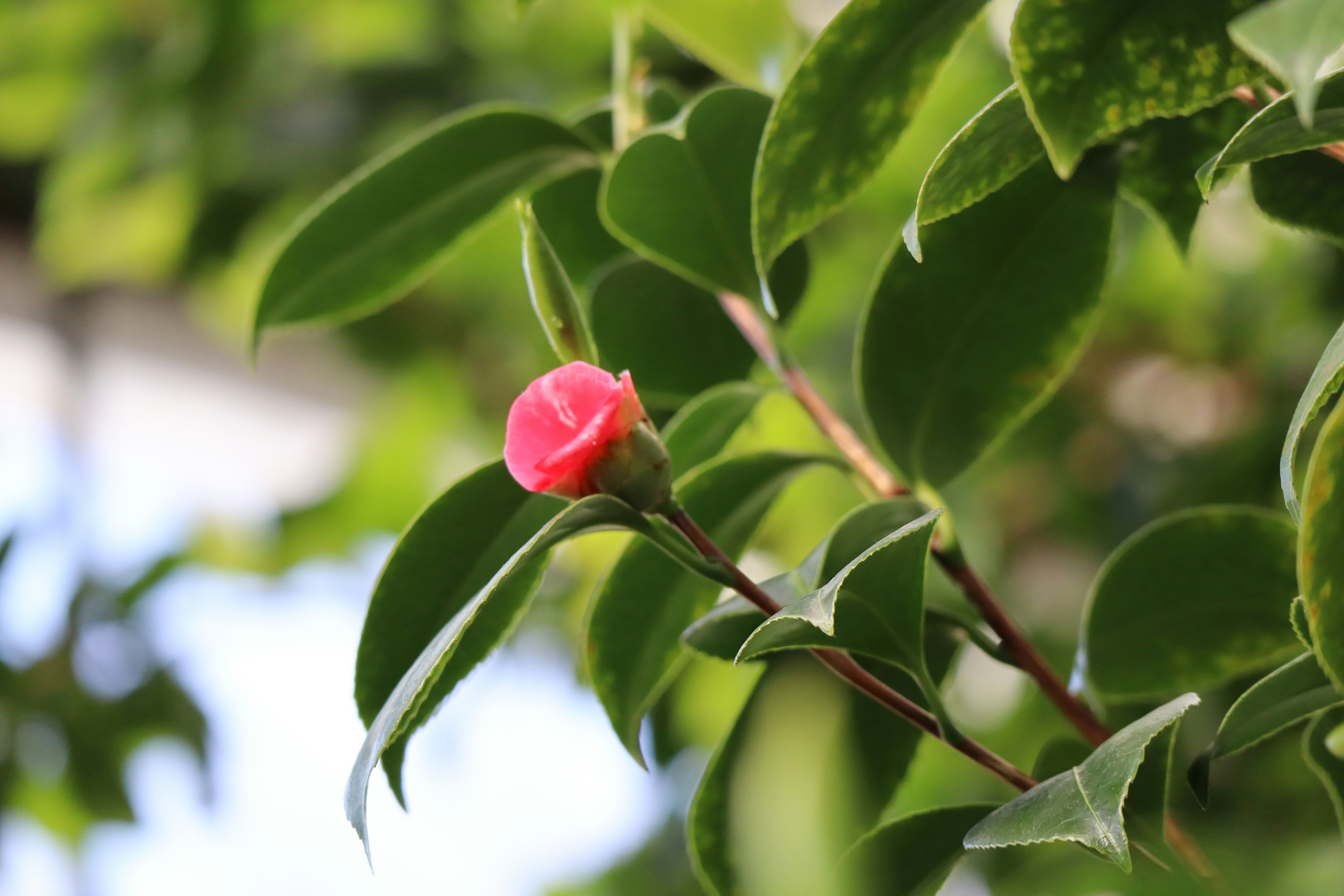 Photo by qwrty5262282