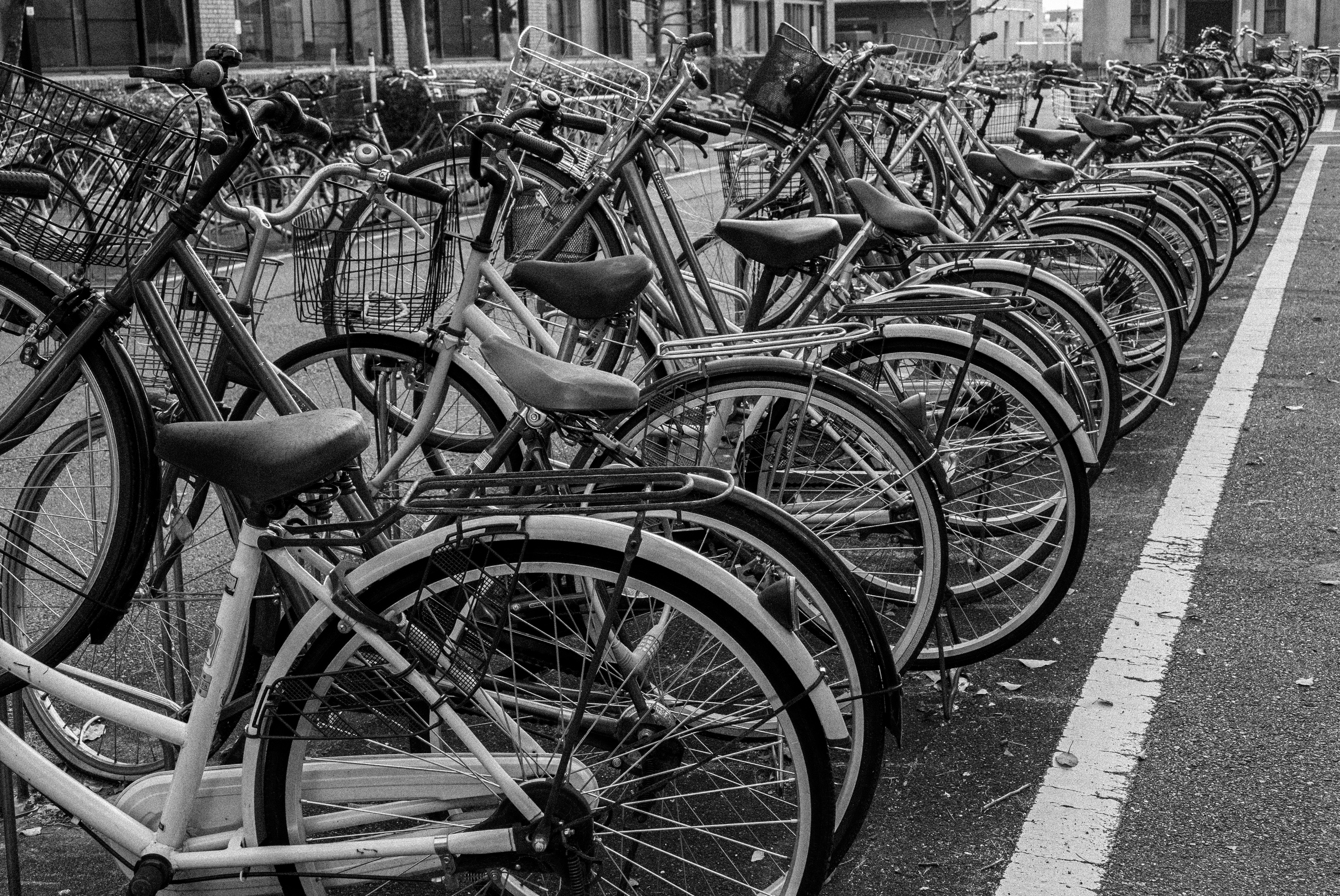 Photo by shellingfordyu