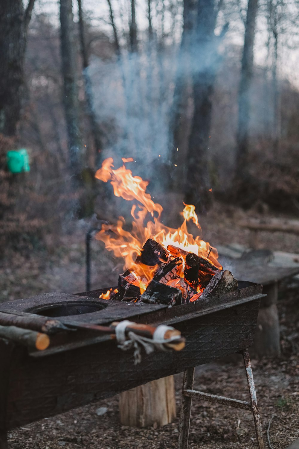 a campfire in the middle of a wooded area