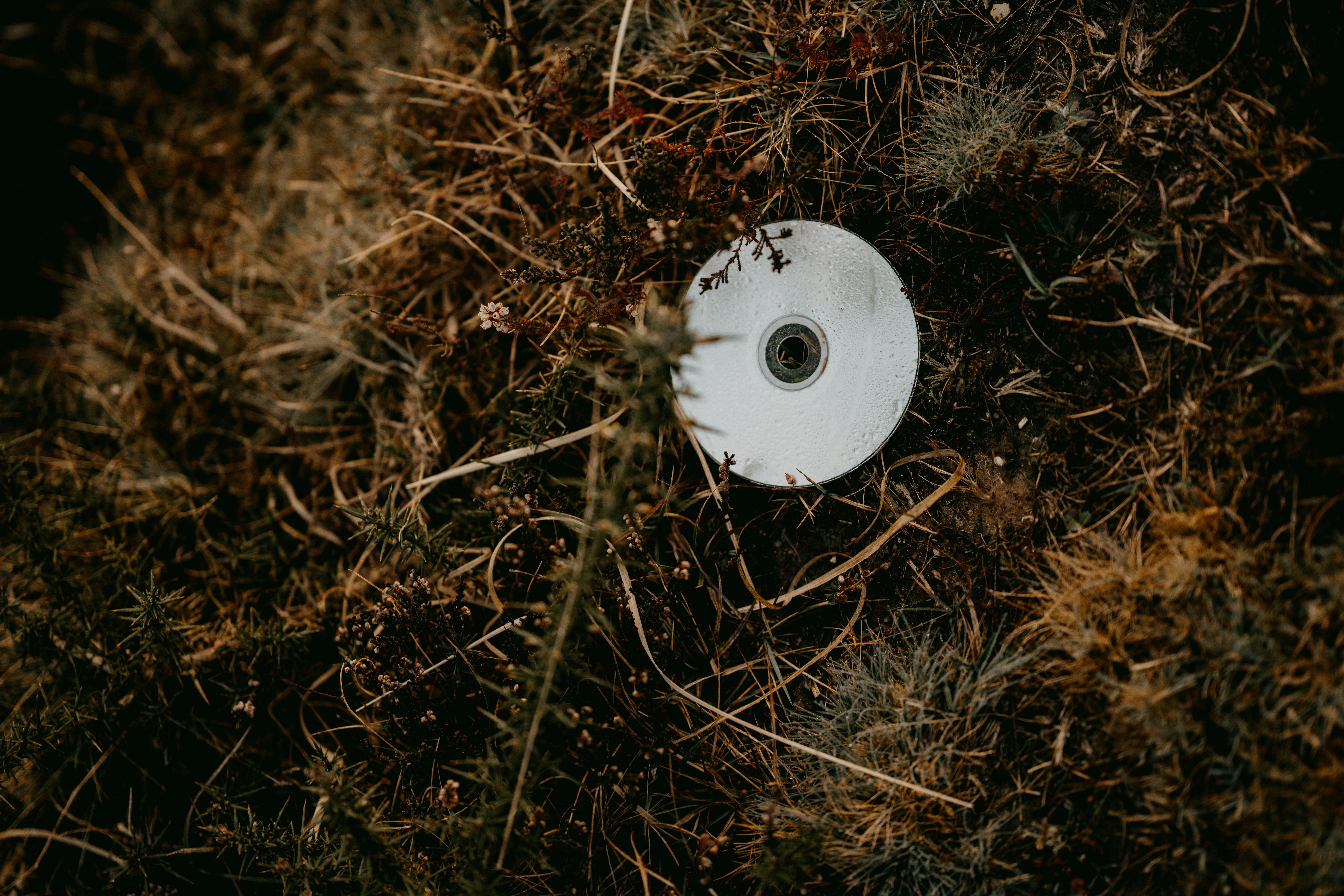 a white frisbee laying on top of a grass covered field