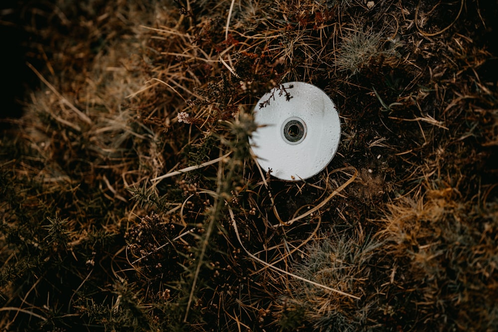 a white frisbee laying on top of a grass covered field