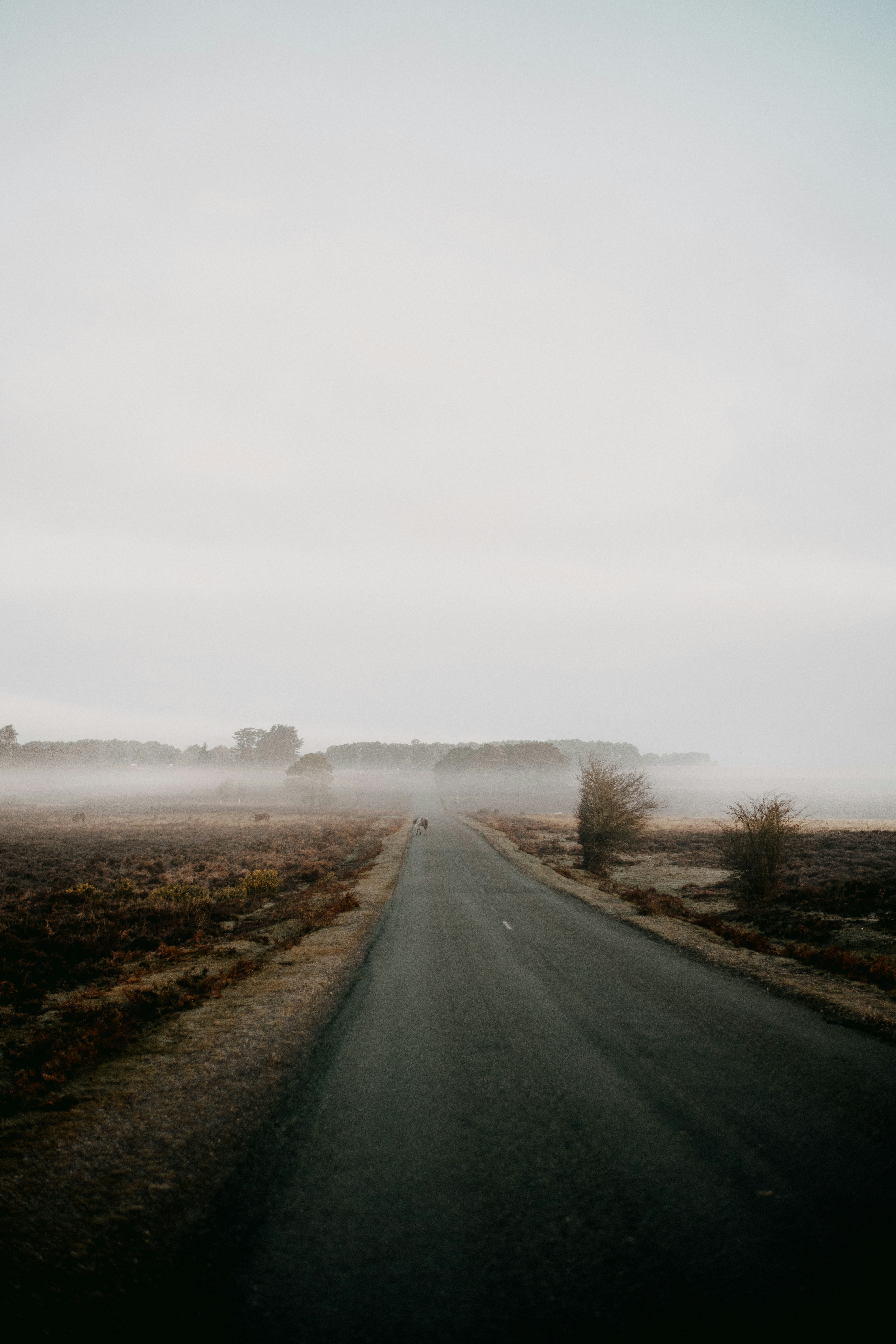 Photo by anniespratt