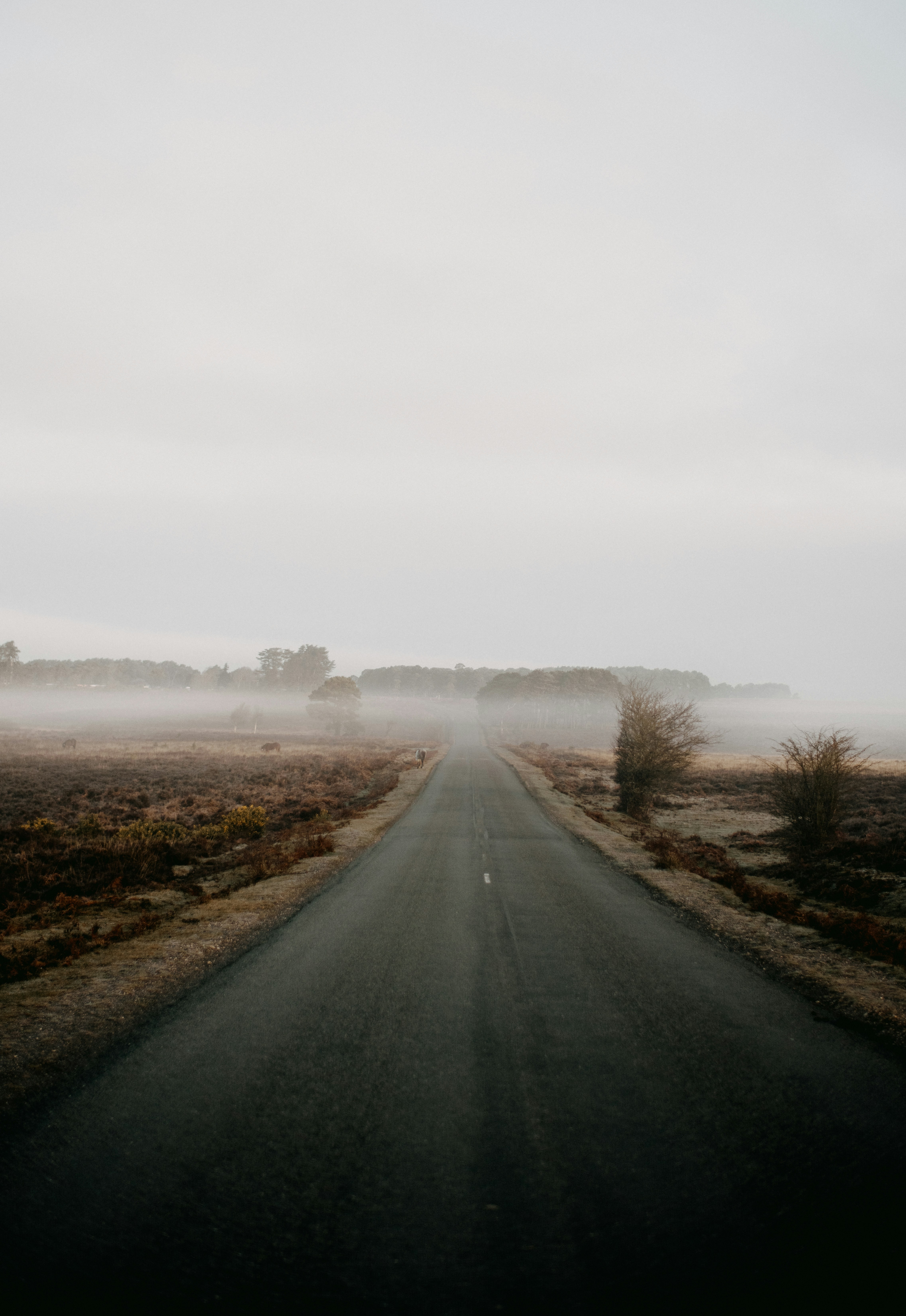 Photo by anniespratt