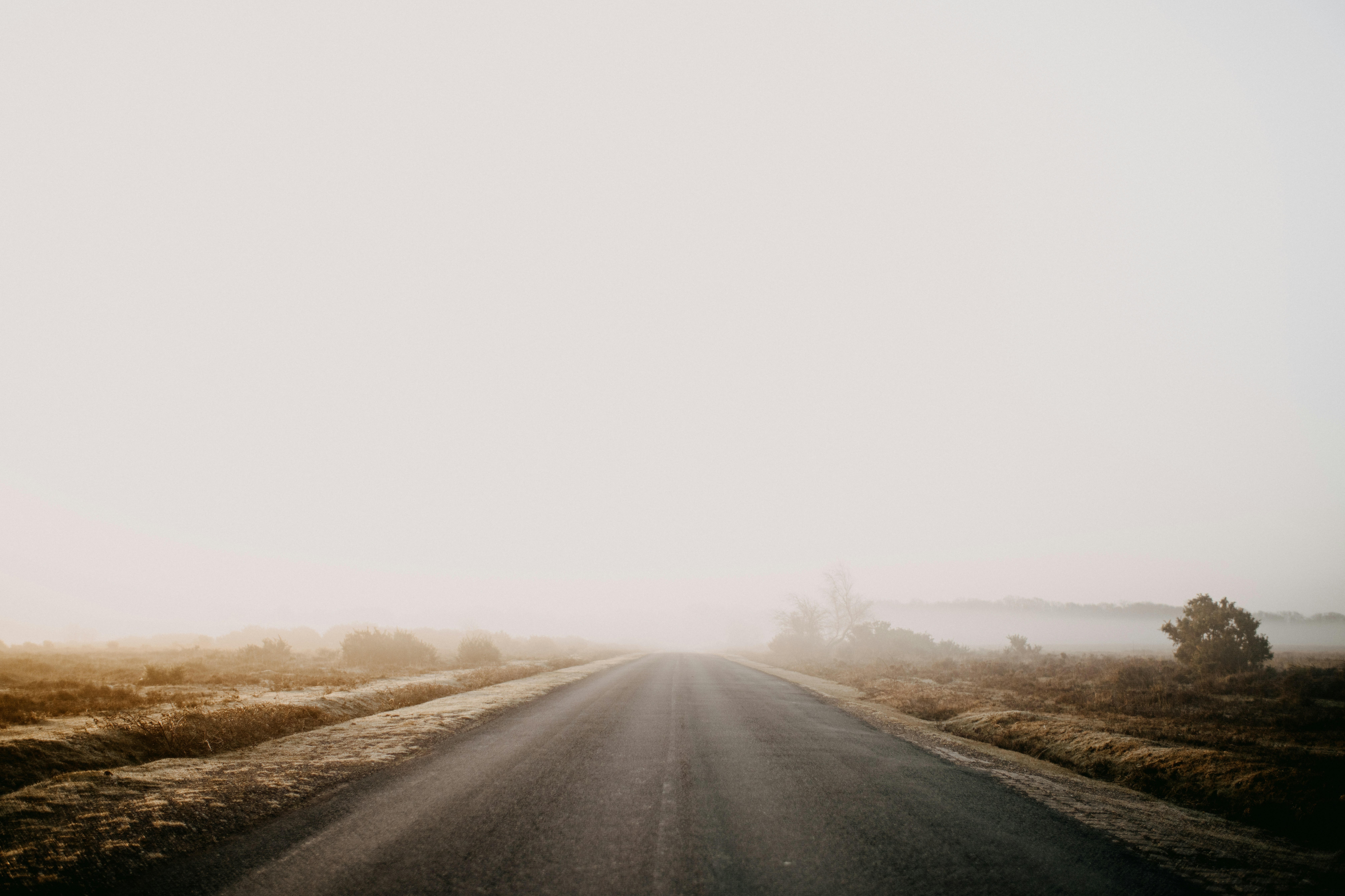 Photo by anniespratt