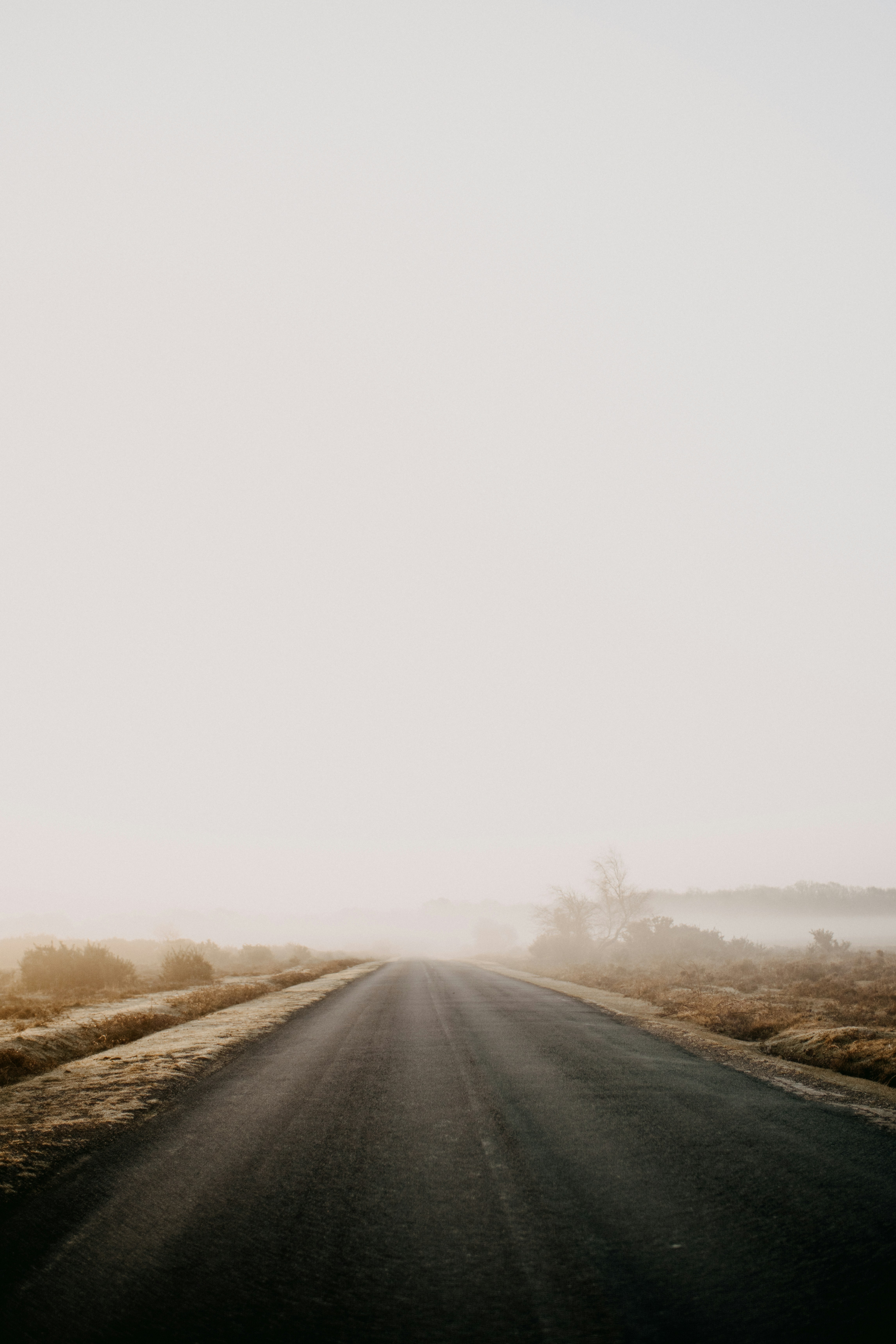 Photo by anniespratt