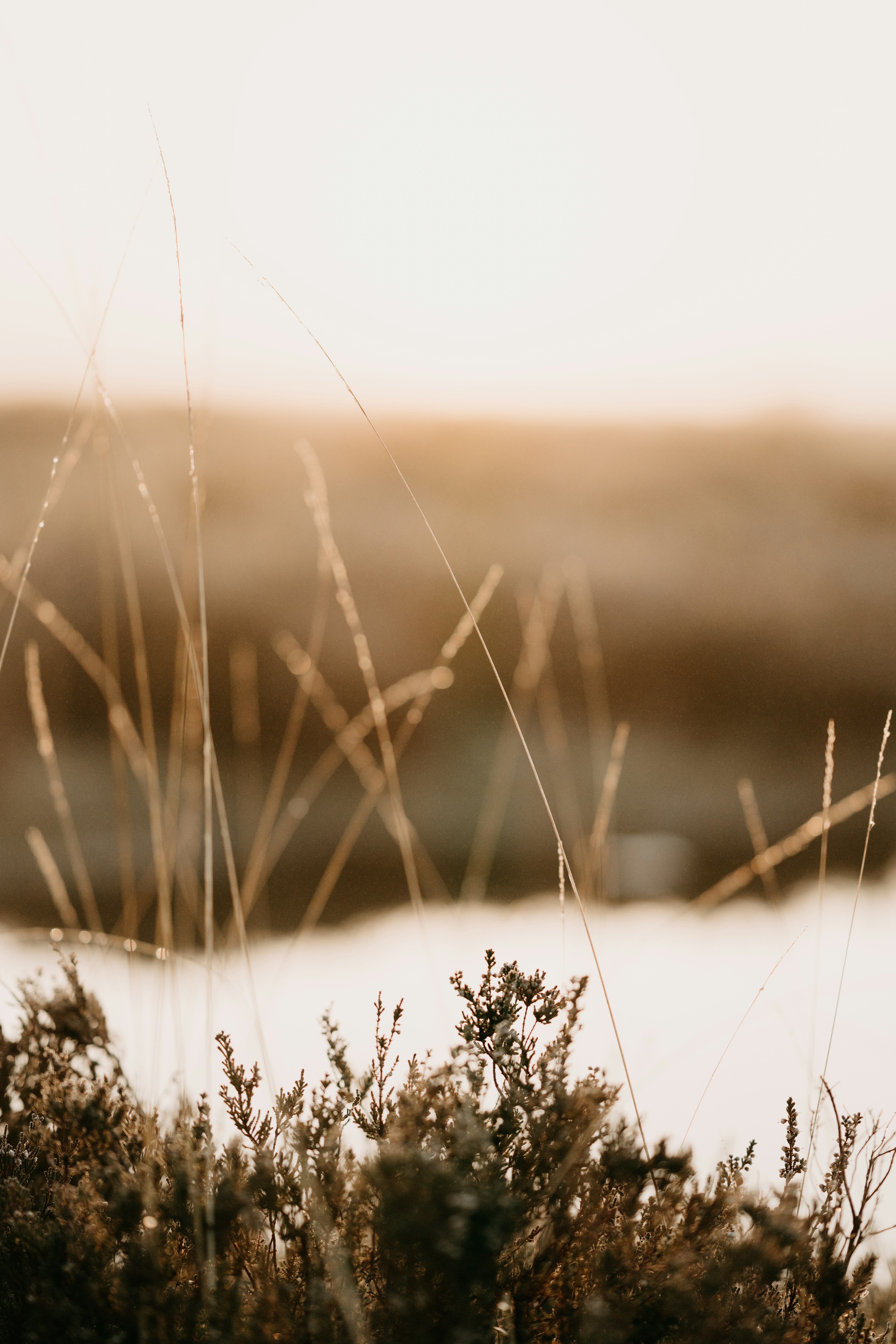 Photo by anniespratt