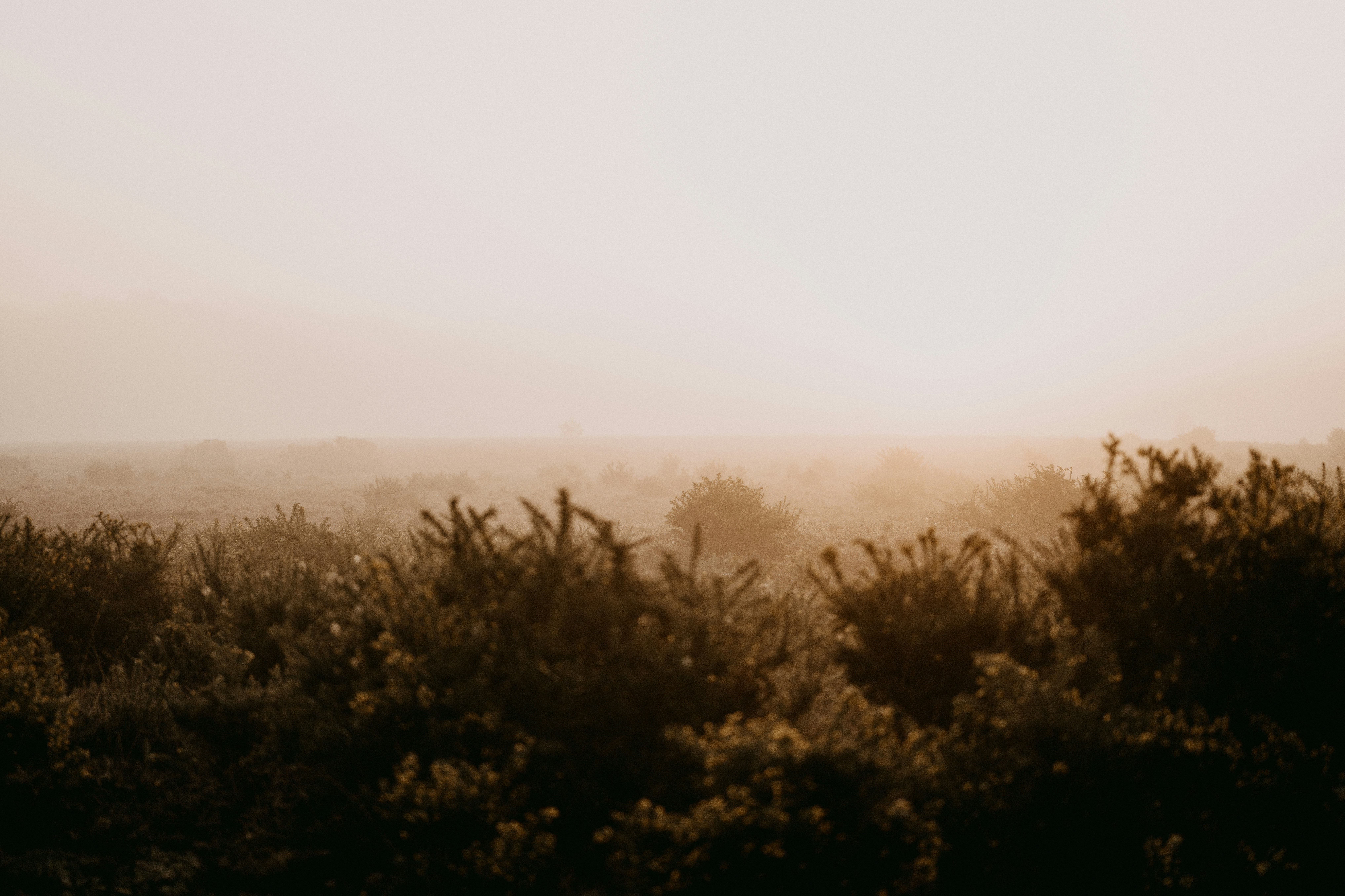 Photo by anniespratt