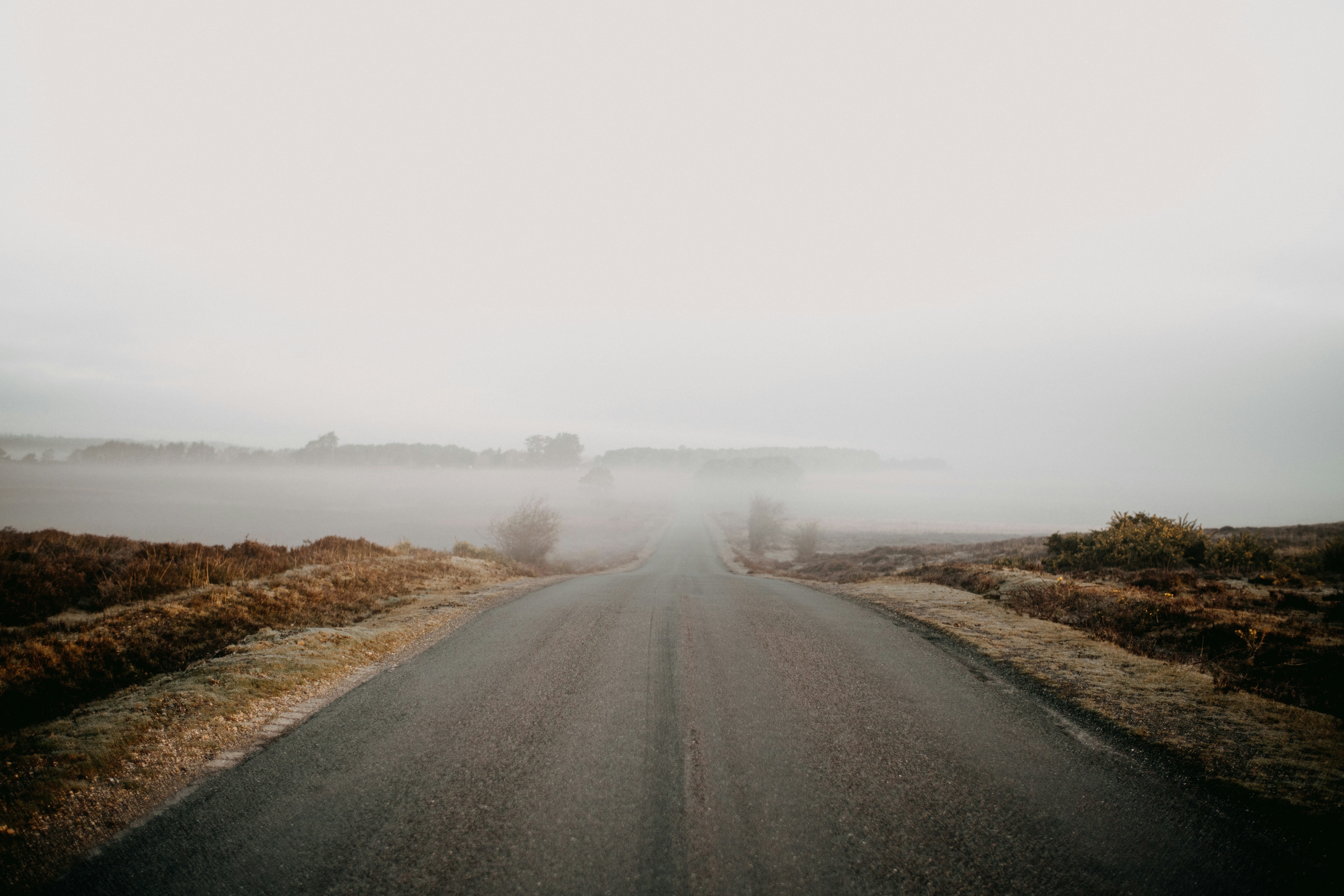 Photo by anniespratt