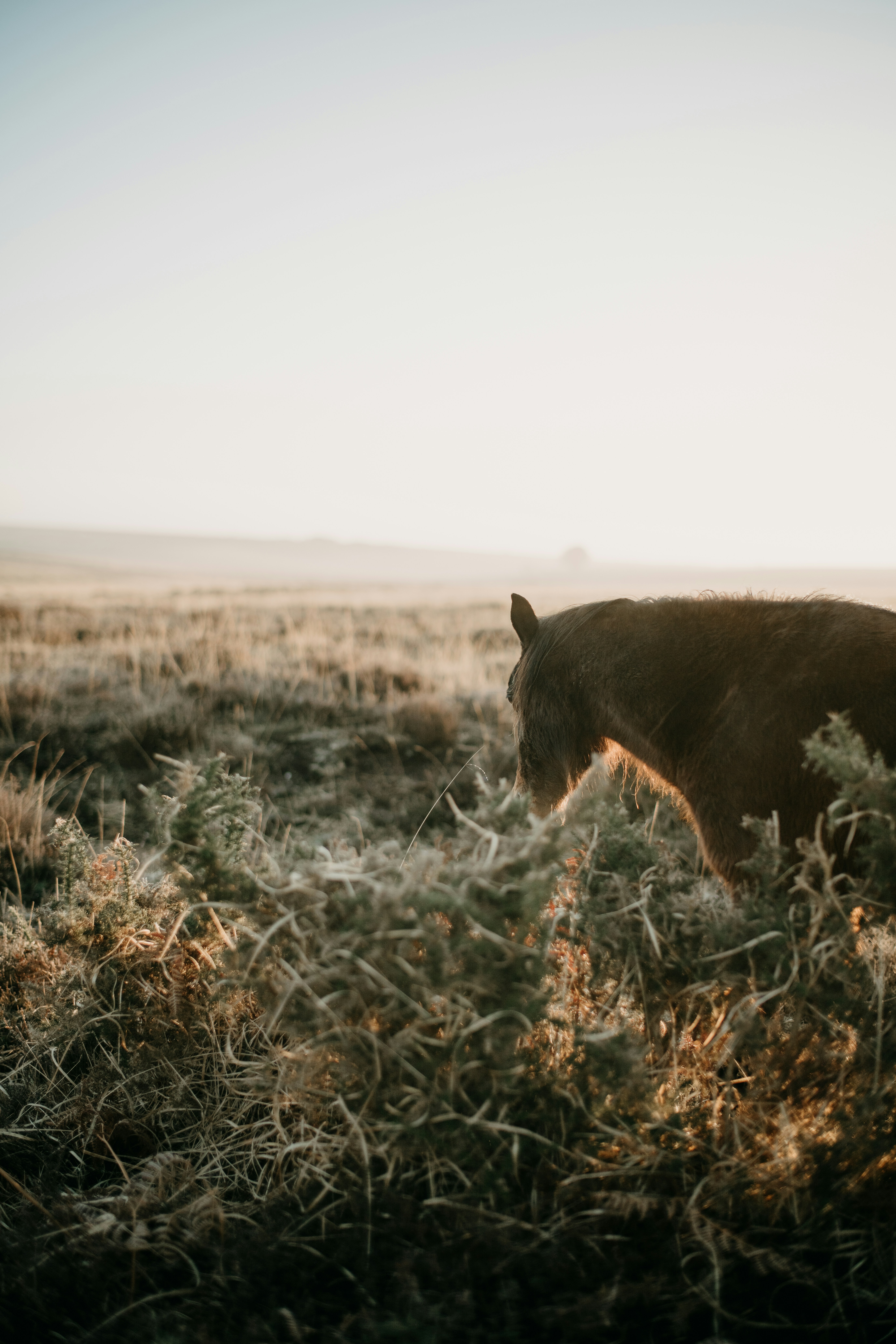 Photo by anniespratt