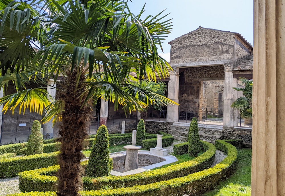 a garden with a fountain in the middle of it