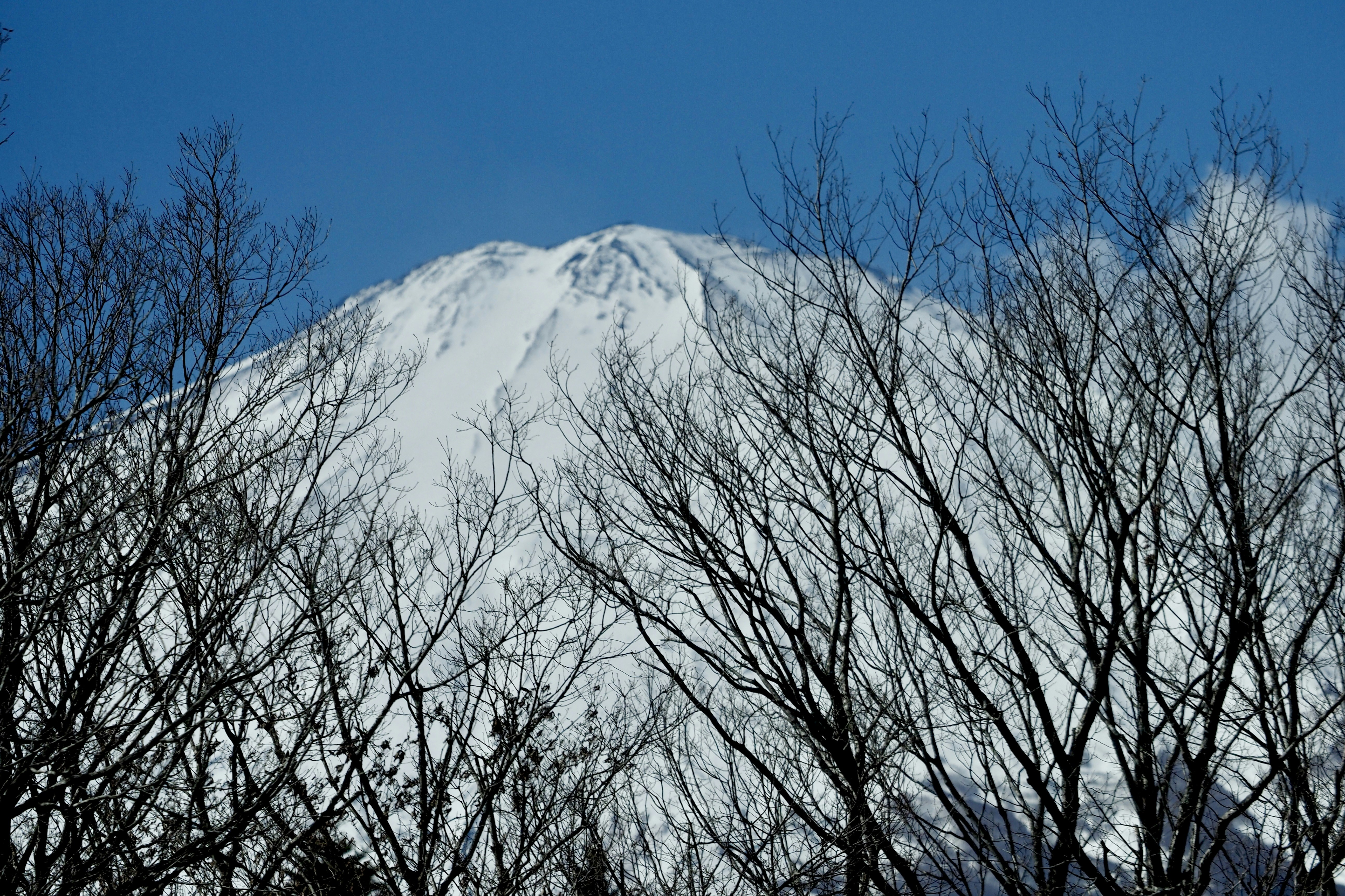 Distant mountain peak covered in snow with a distinctive shape, winter landscape