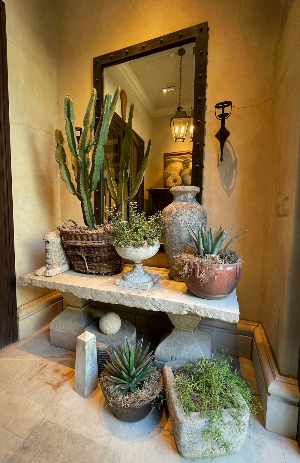 a table topped with potted plants next to a mirror