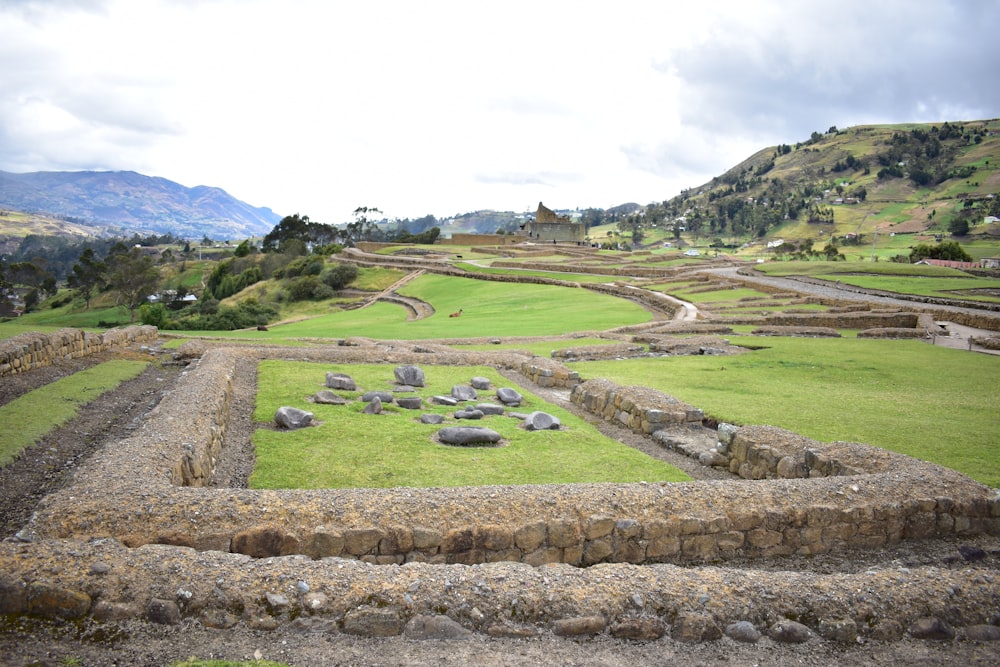 a grassy area with rocks and grass in the middle