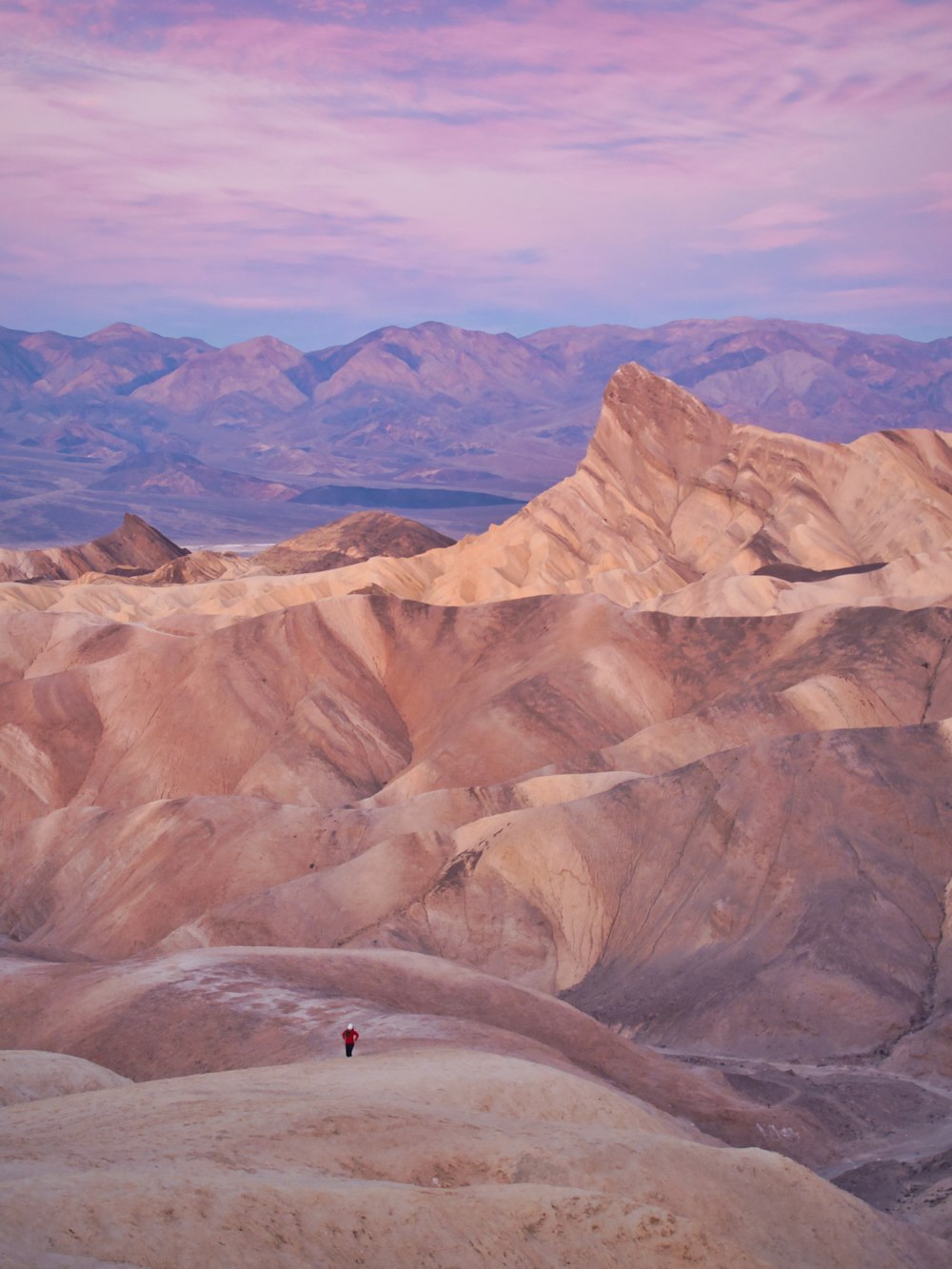 a person standing in the middle of a desert