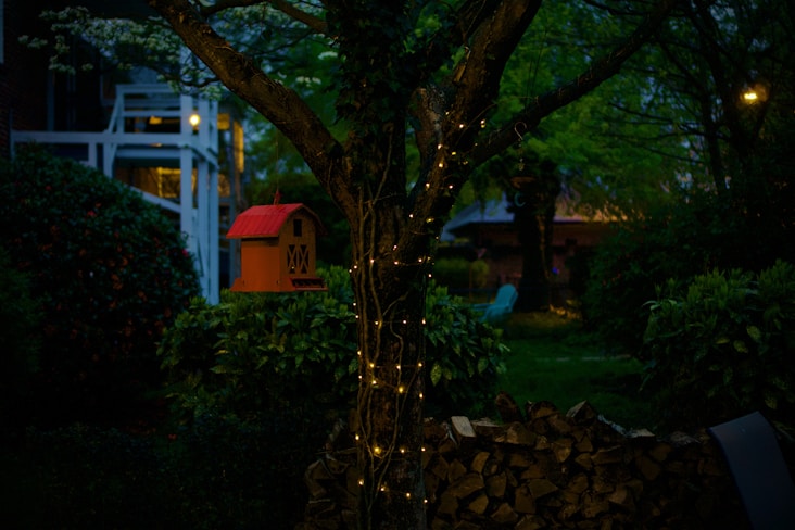 Къщичка за птици и дърво, осветени по здрач от група лампички в градината.