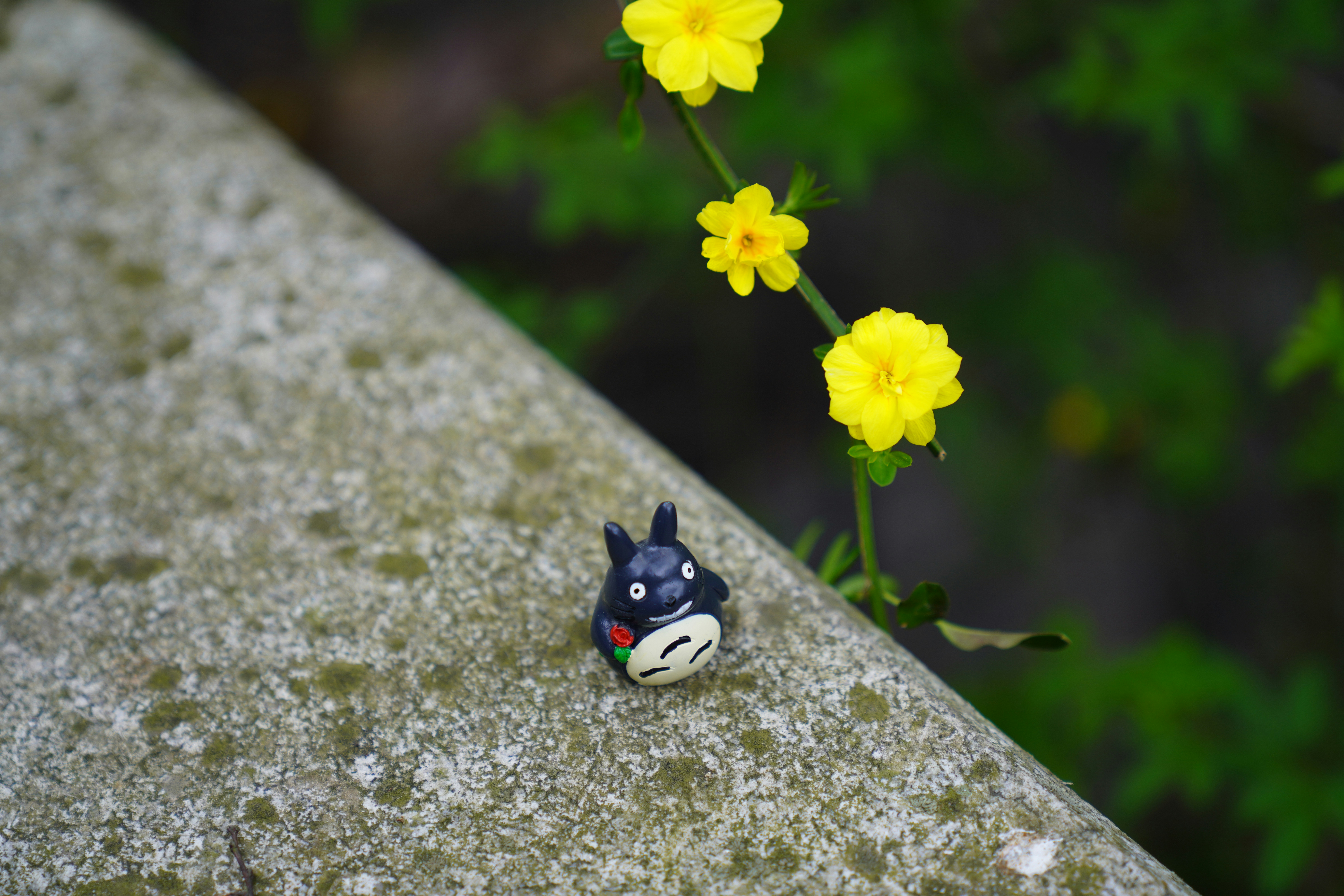 Photo by ttxiangni123