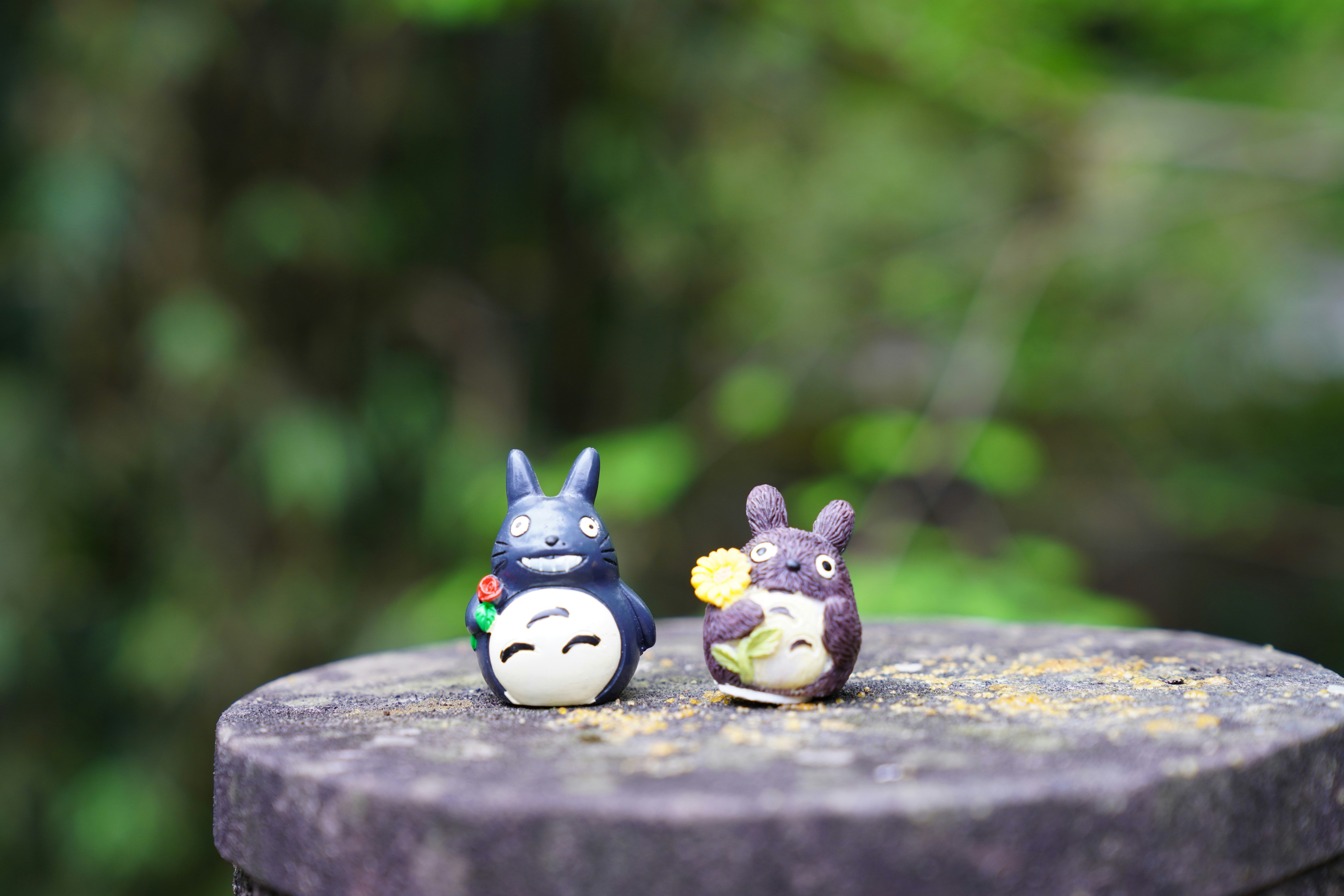 Photo by ttxiangni123