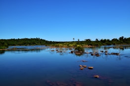 A serene landscape showing a clean, blueish river flowing through lush greenery.