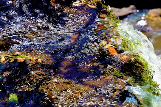 Close-up of clear water flowing over rocks in a well-maintained pond.