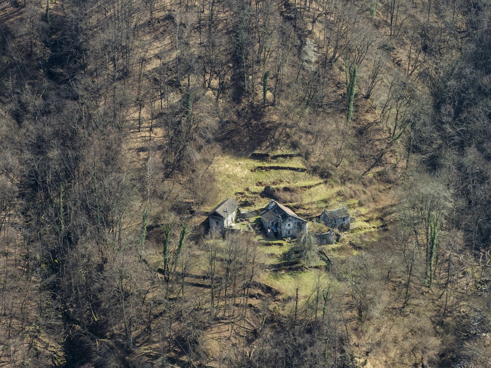 森の真ん中にある家の空中写真