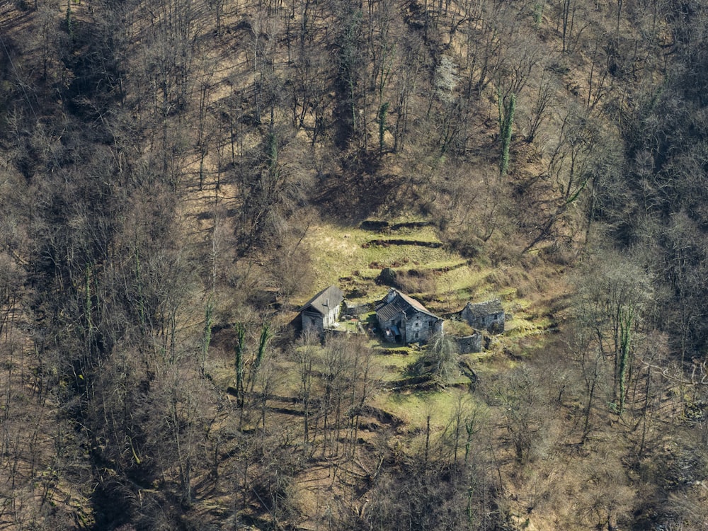 an aerial view of a house in the middle of a forest