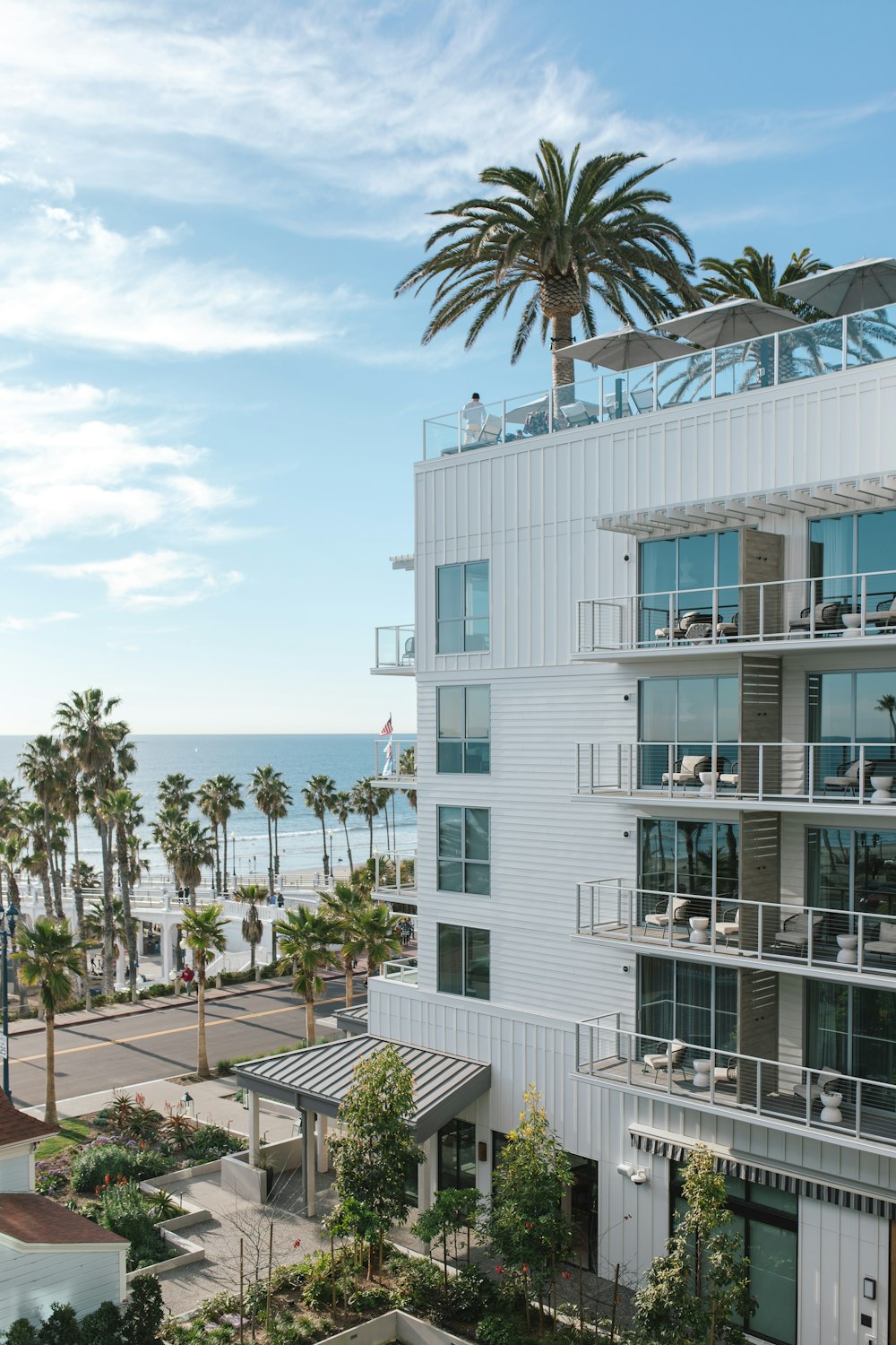 a large white building with a palm tree in front of it