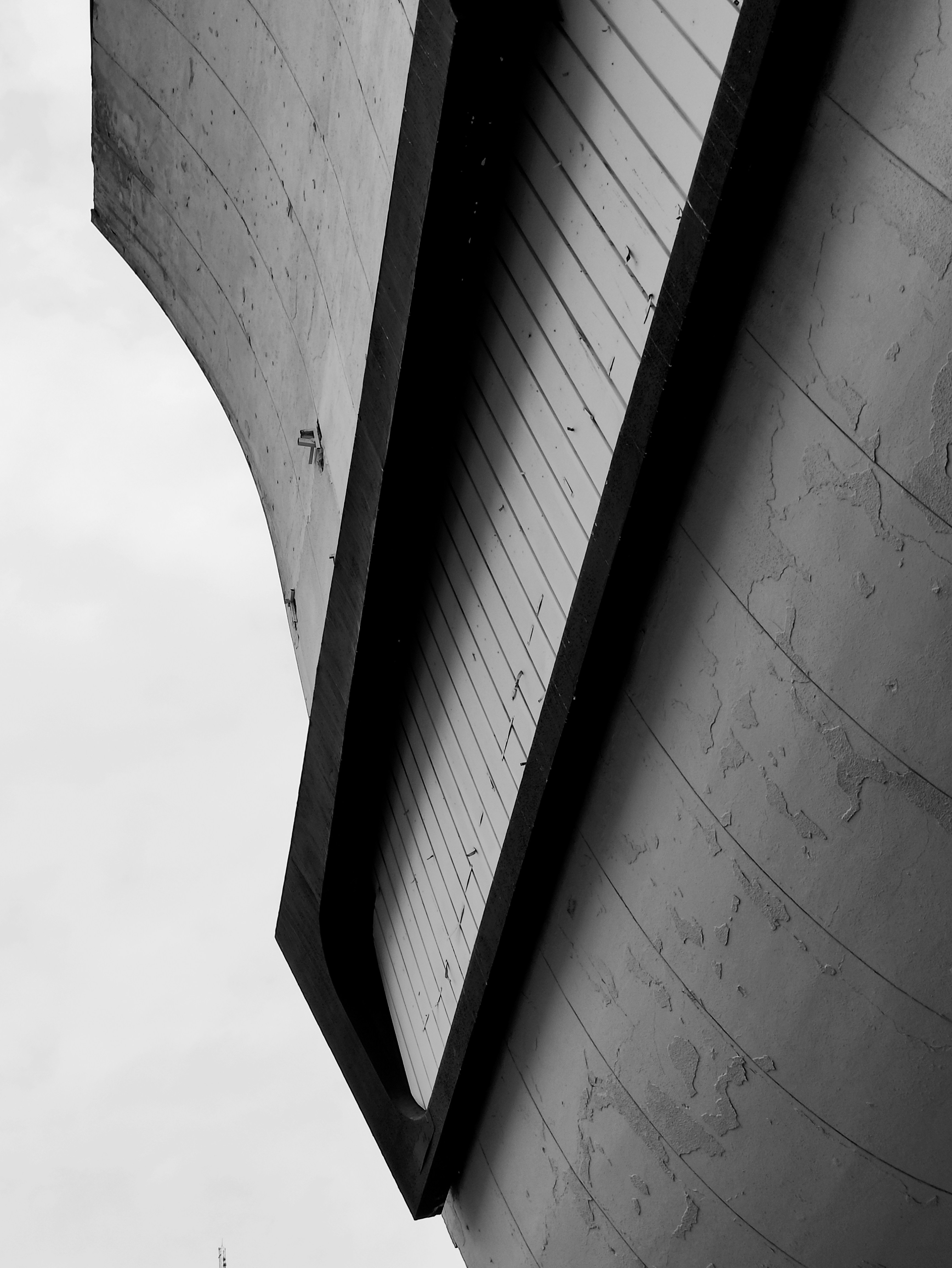 Photo by masiha_imani_81